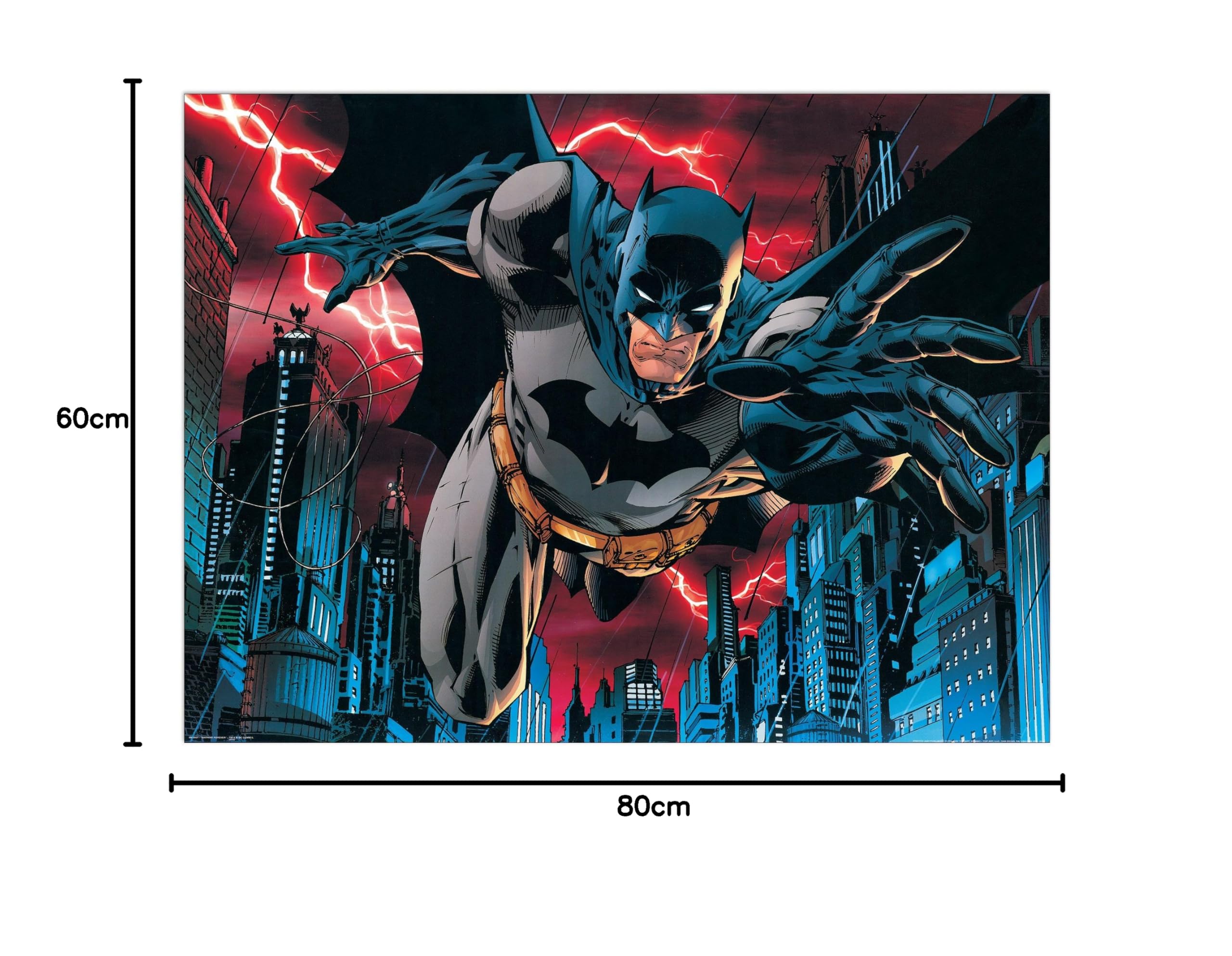 DC Comics – Batman Forever (panel 80 x 60 cm) : Amazon.com.tr: Ev
