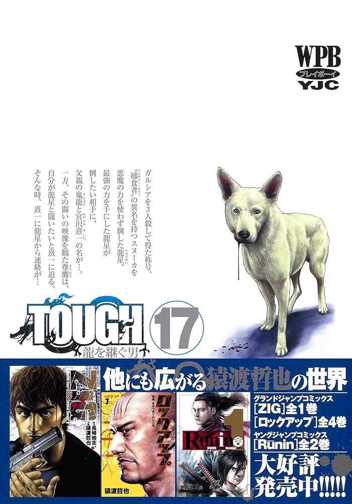 ＴＯＵＧＨ龍を継ぐ男 １７ TOUGH 龍を継ぐ男 17／猿渡 哲也 | 集英社 ― SHUEISHA ―