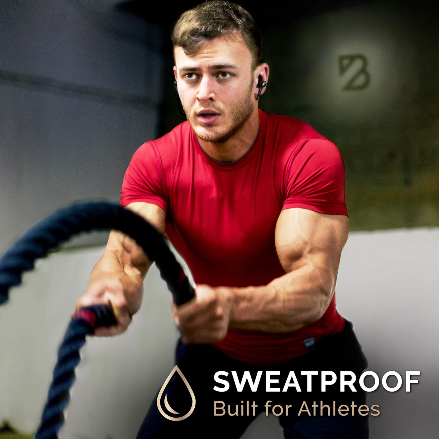 Back Bay Audio Signature Sound with Apt-X Audio