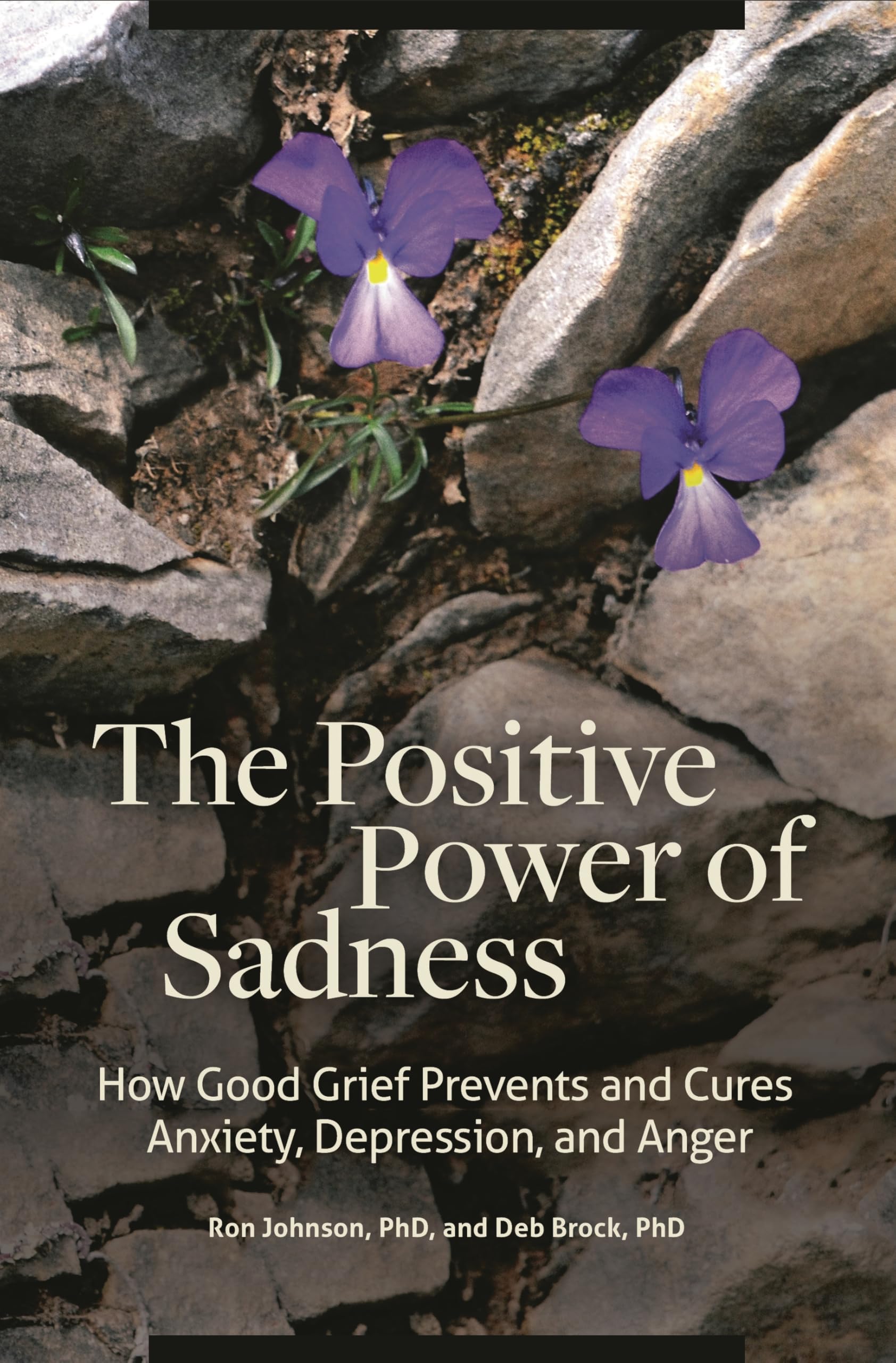 The Positive Power of Sadness: How Good Grief Prevents and Cures Anxiety, Depression, and Anger (Psychology, Religion, and Spirituality)