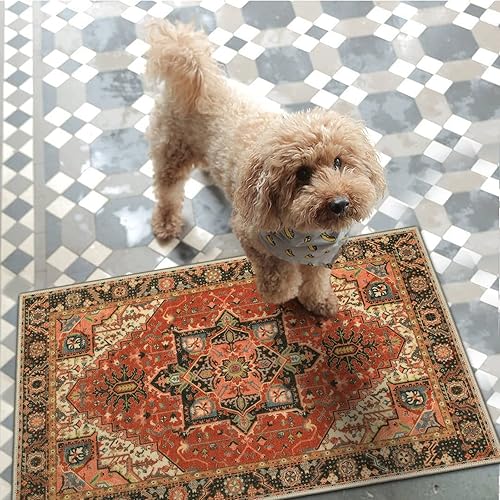 Miniatura 205 de Collive Tapete lavable para interiores, tapete retro antideslizante de 20 x 32 pulgadas, alfombra de entrada de absorción rápida, tapete de entrada