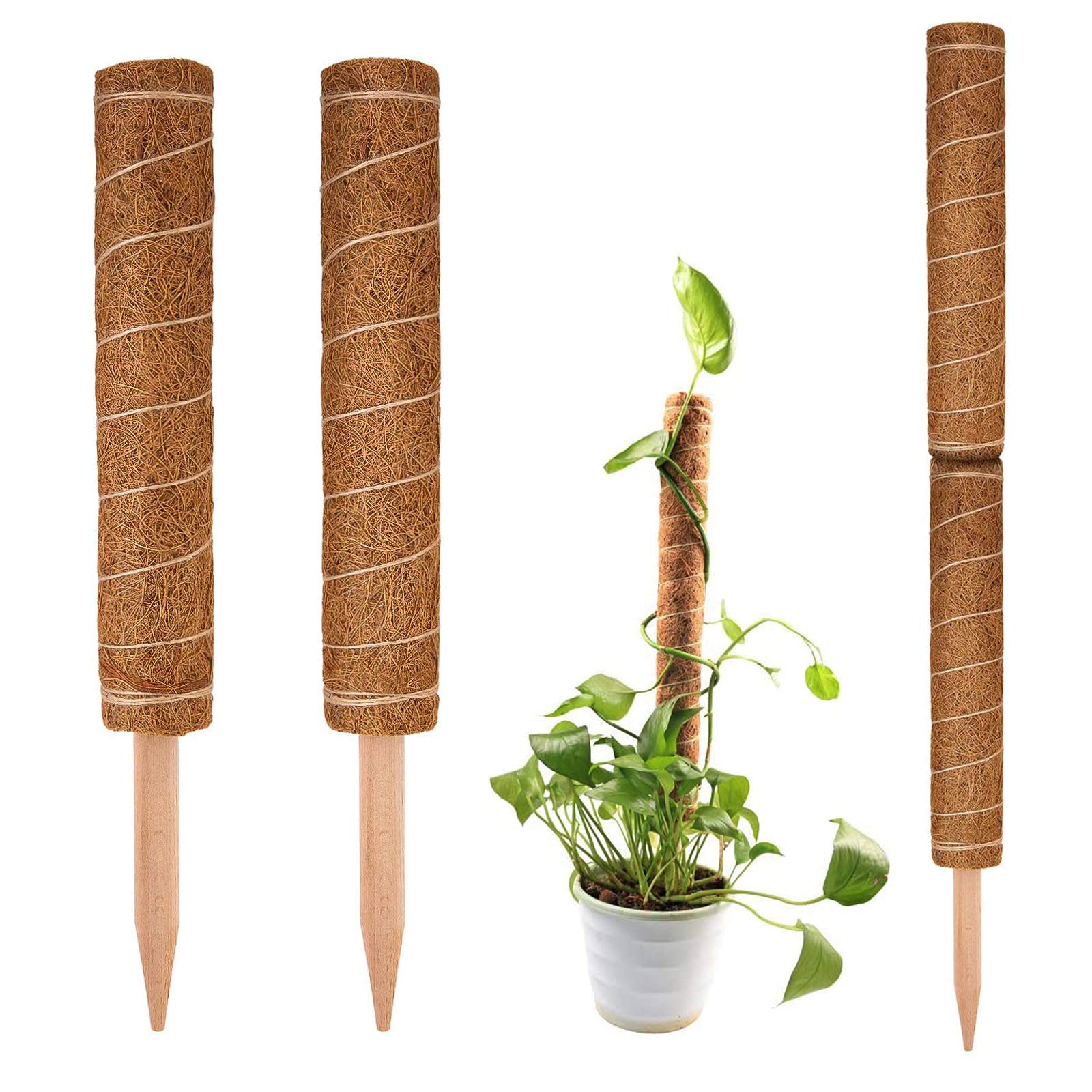 Bastone In Cocco Per Piante Rampicanti 30 Cm | Palo Totem In Fibra Di Muschio | Supporto Per Monstera 2 Pezzi