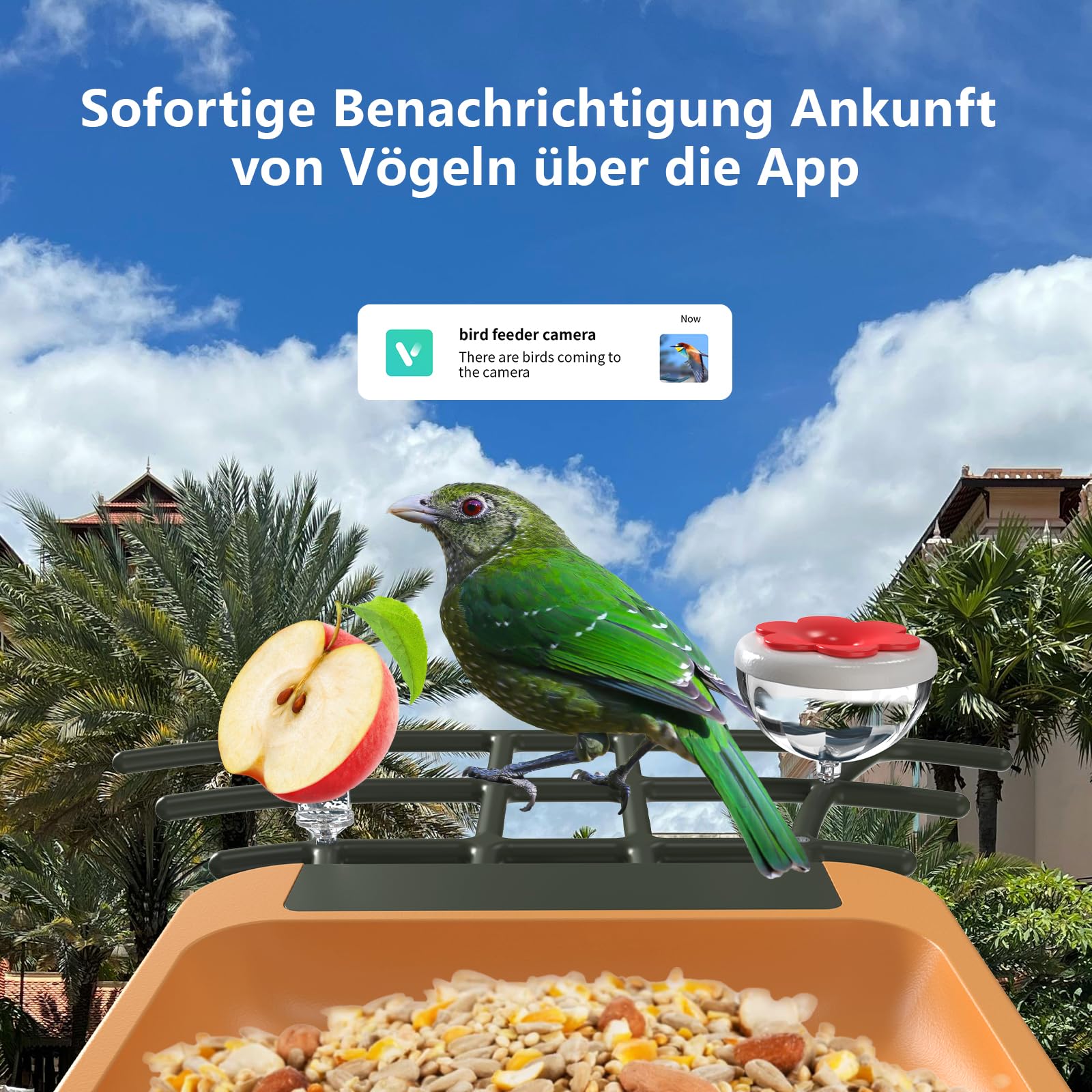 Vogelfutterhaus mit Kamera 2K HD Vollfarbe Nachtsicht KI Vogelerkennung Sofortiger Benachrichtigung Automatisch Aufnahme von Vogelvideos, Vogelhaus mit Kamera Solarbetrieben