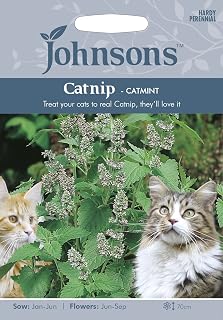 Johnsons 15753 Flower Seeds, Catnip-Catmint, White