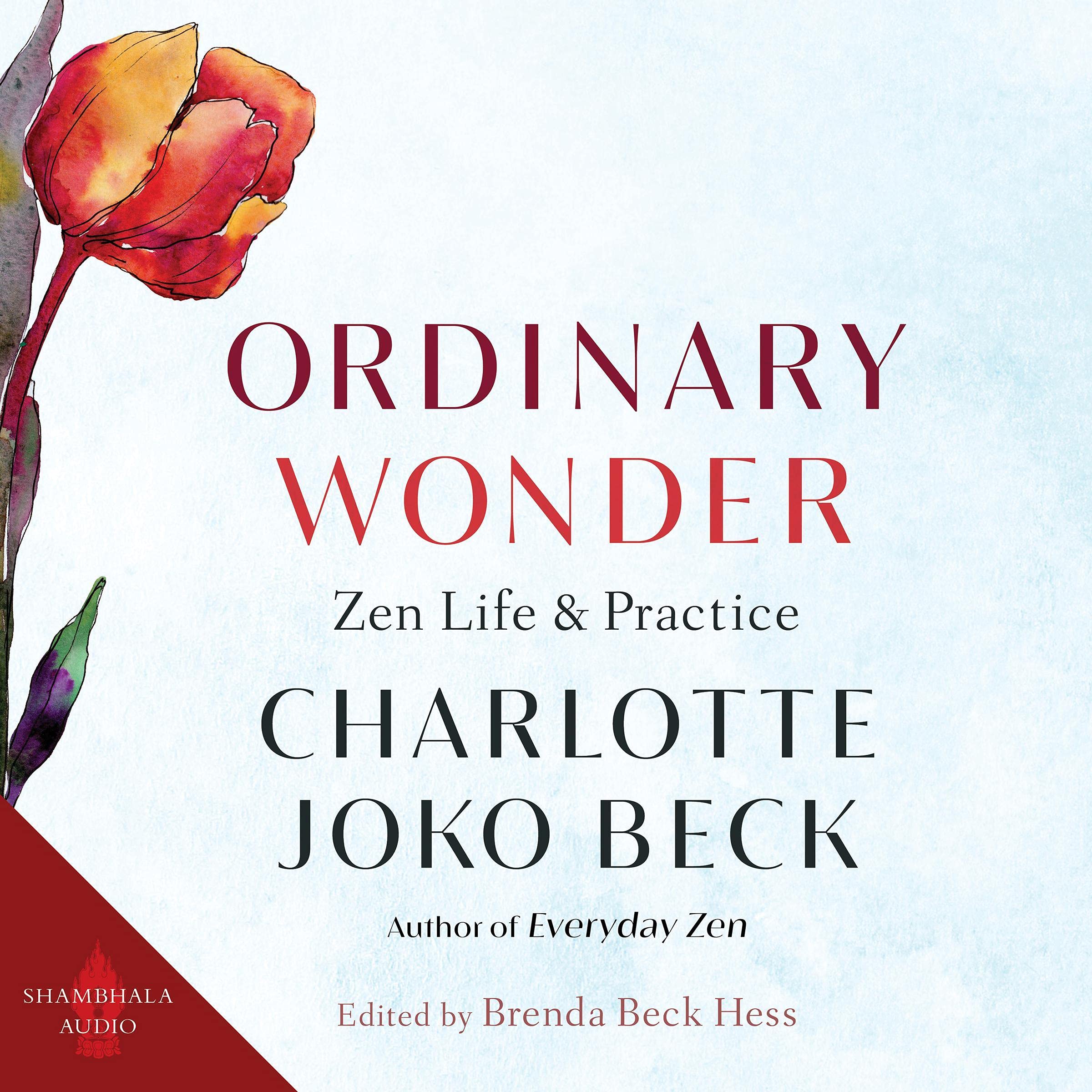 Cover art for Ordinary Wonder
