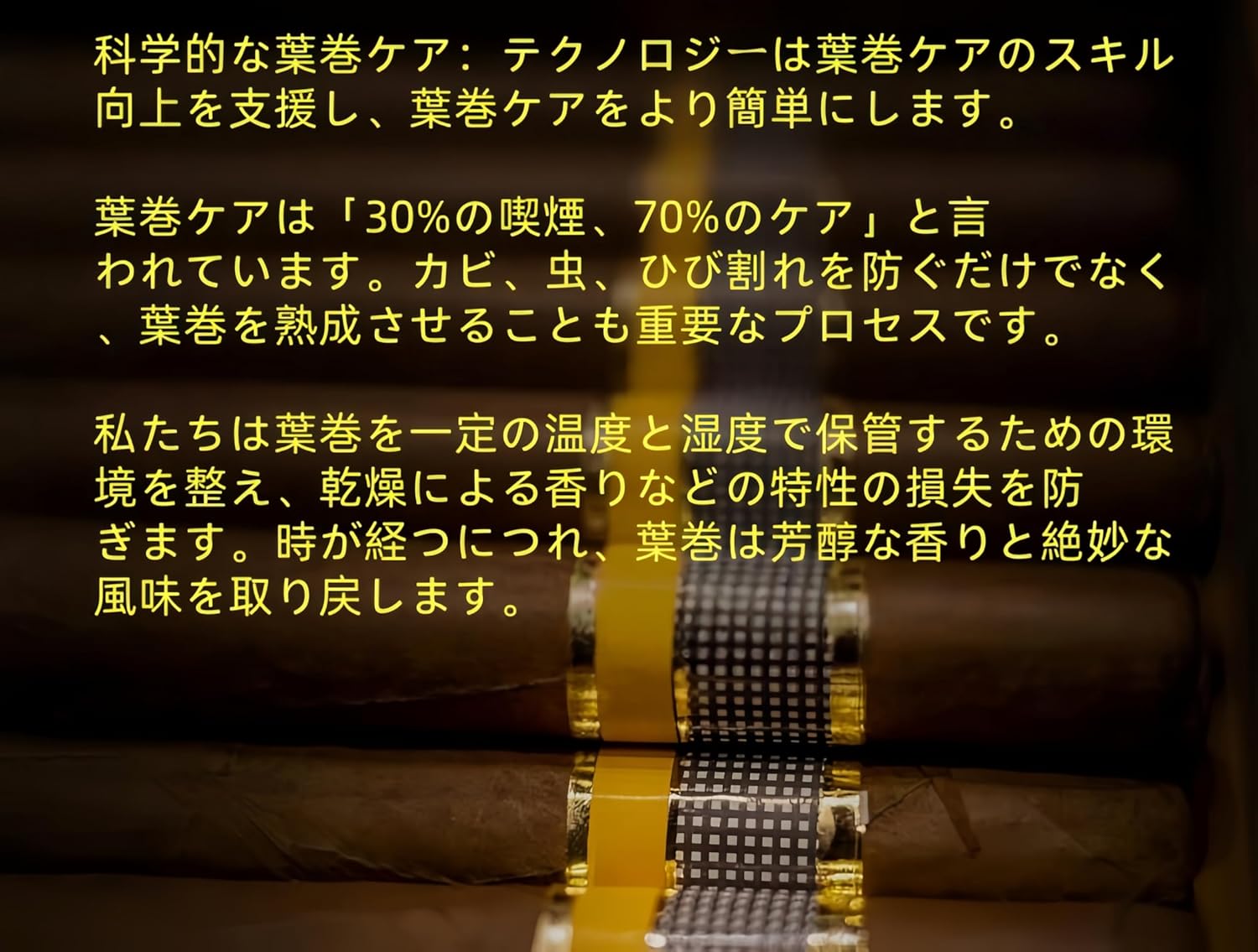 JoyeeLii 電子恒温シガーキャビネット家庭用小型シガー保湿キャビネット (ブラック,16L)