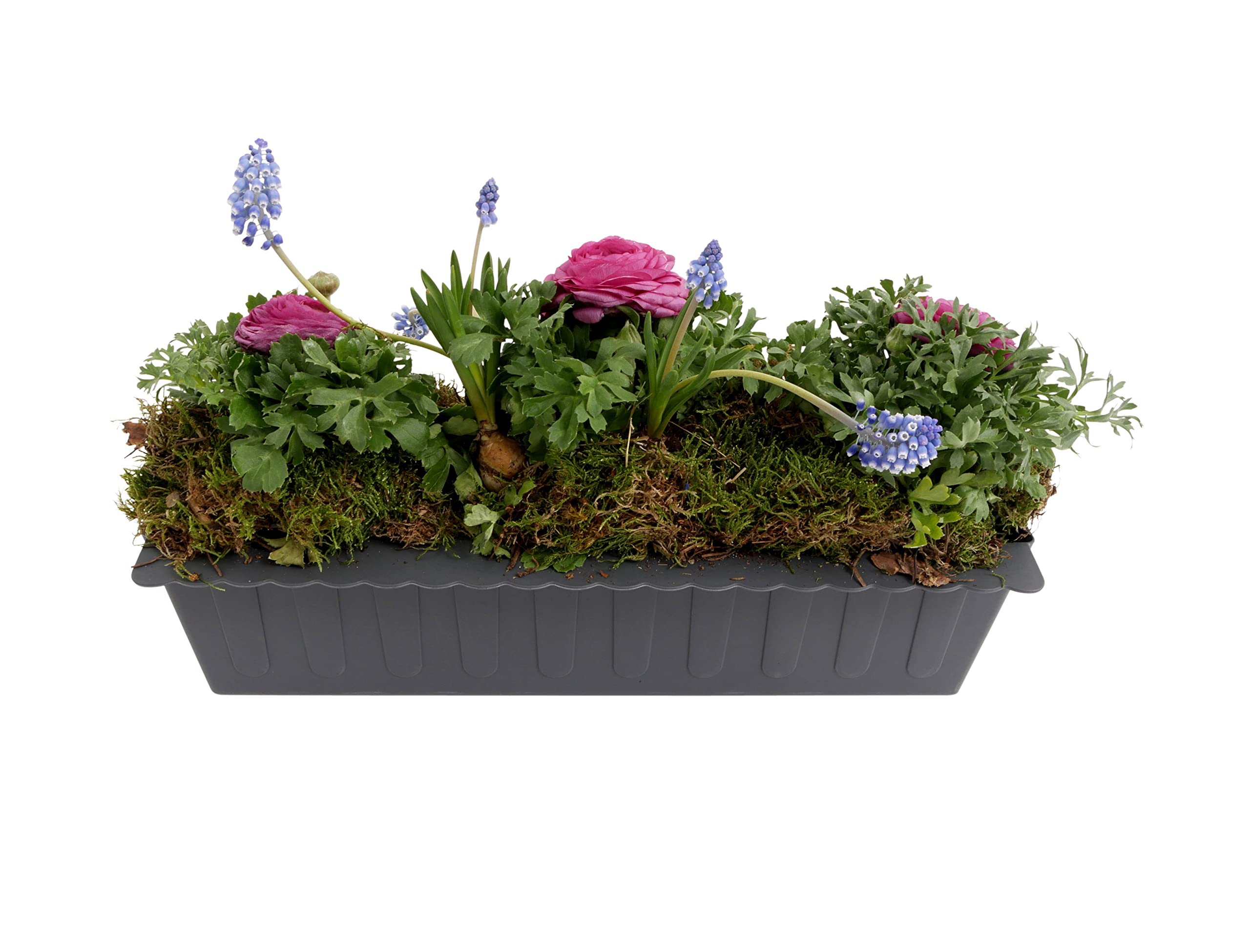CB Home & Style Blumenkasten Kunststoff Pflanzkasten Set Einsatz für Europaletten Balkonkasten Palette Topf (12)