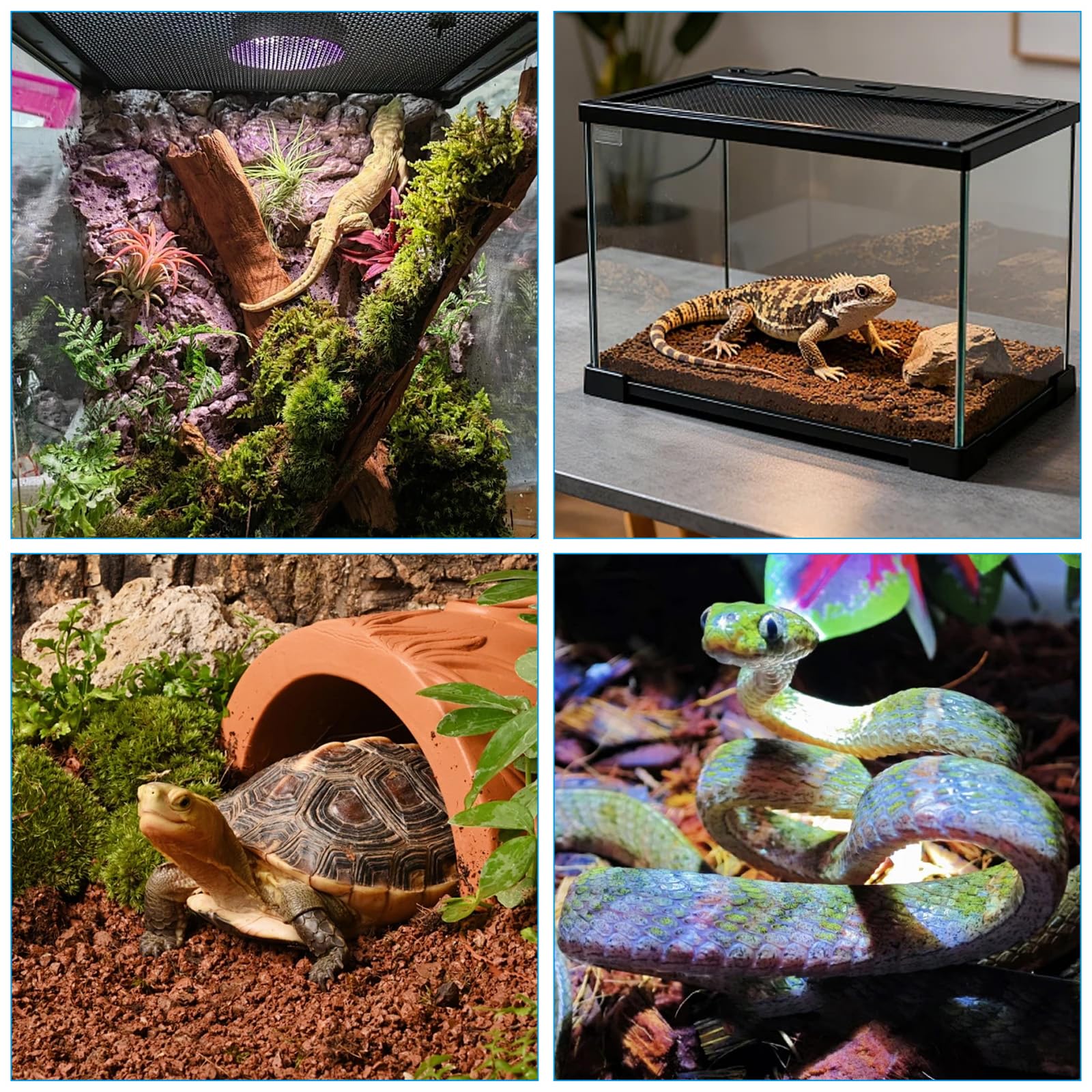 Humidificador de reptiles, sistema de pulverización inteligente para reptiles con mando a distancia, sistema de niebla de reptiles, atomizador automático inteligente giratorio de 360 ° para reptiles