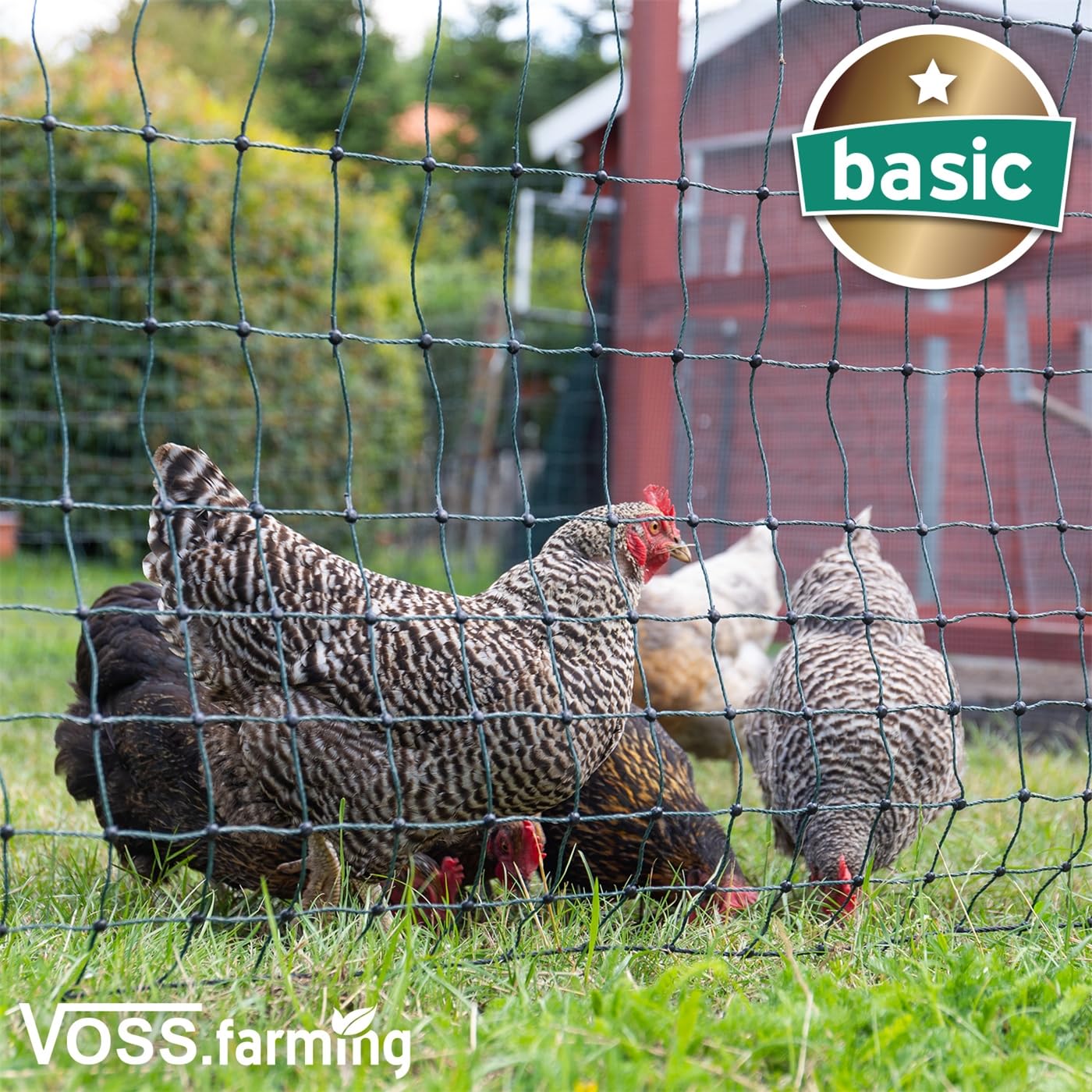 Rete Elettrificabile Per Pecore 50m - Altezza 90cm, Arancione, Con 13 Pali - Foto 3