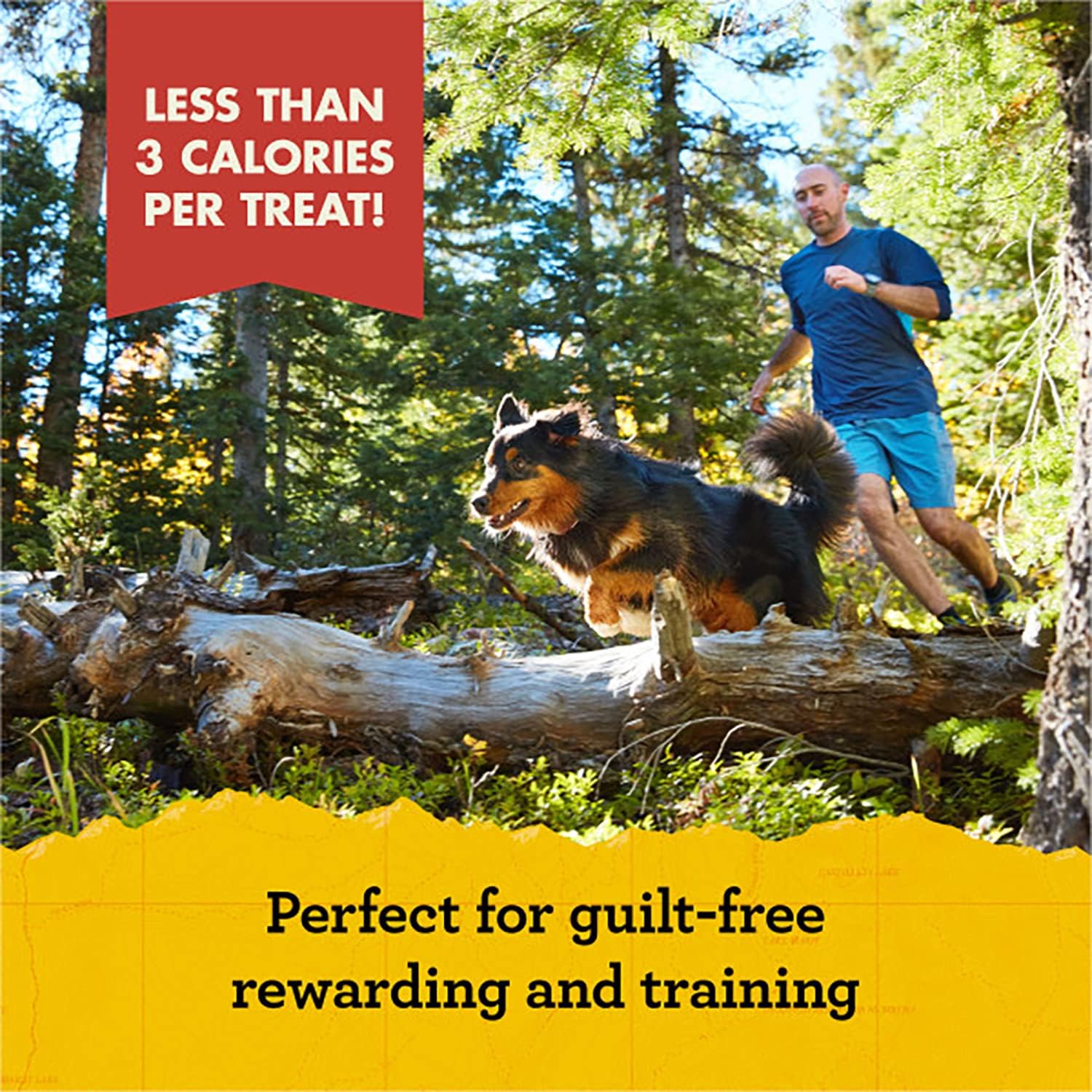 Zuke's Mini Naturals Dog Training Treats, Beef Recipe, Soft Mini Dog Treats with Vitamins & Minerals, Made for All Breed Sizes (Beef, 6 Ounce (Pack of 6))