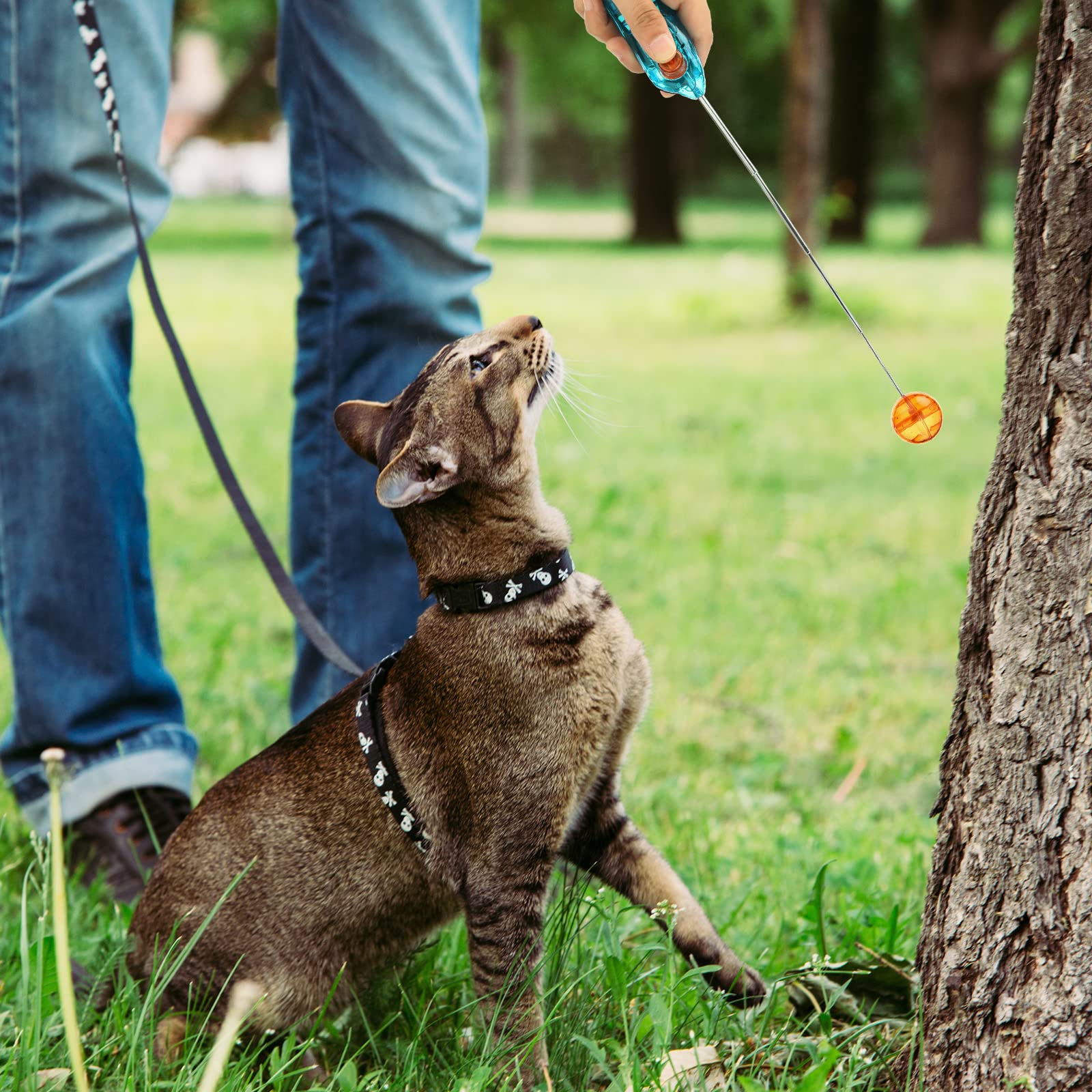 Amazon | Moukeren 2ピース クリッカートレーニングキット ペット猫