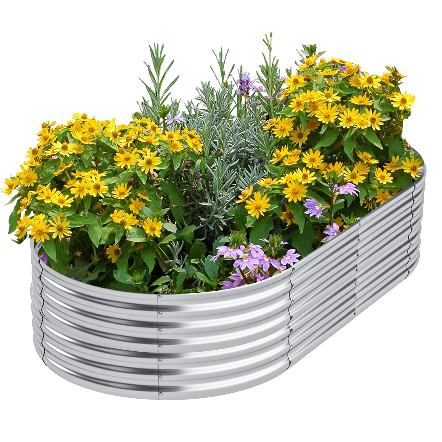 Raised Garden Bed,Galvanized Planter Boxes Outdoor,Oval Large Metal Garden Bed Planter Box for Vegetables, Fruits, Flower(8×2×1.5ft)