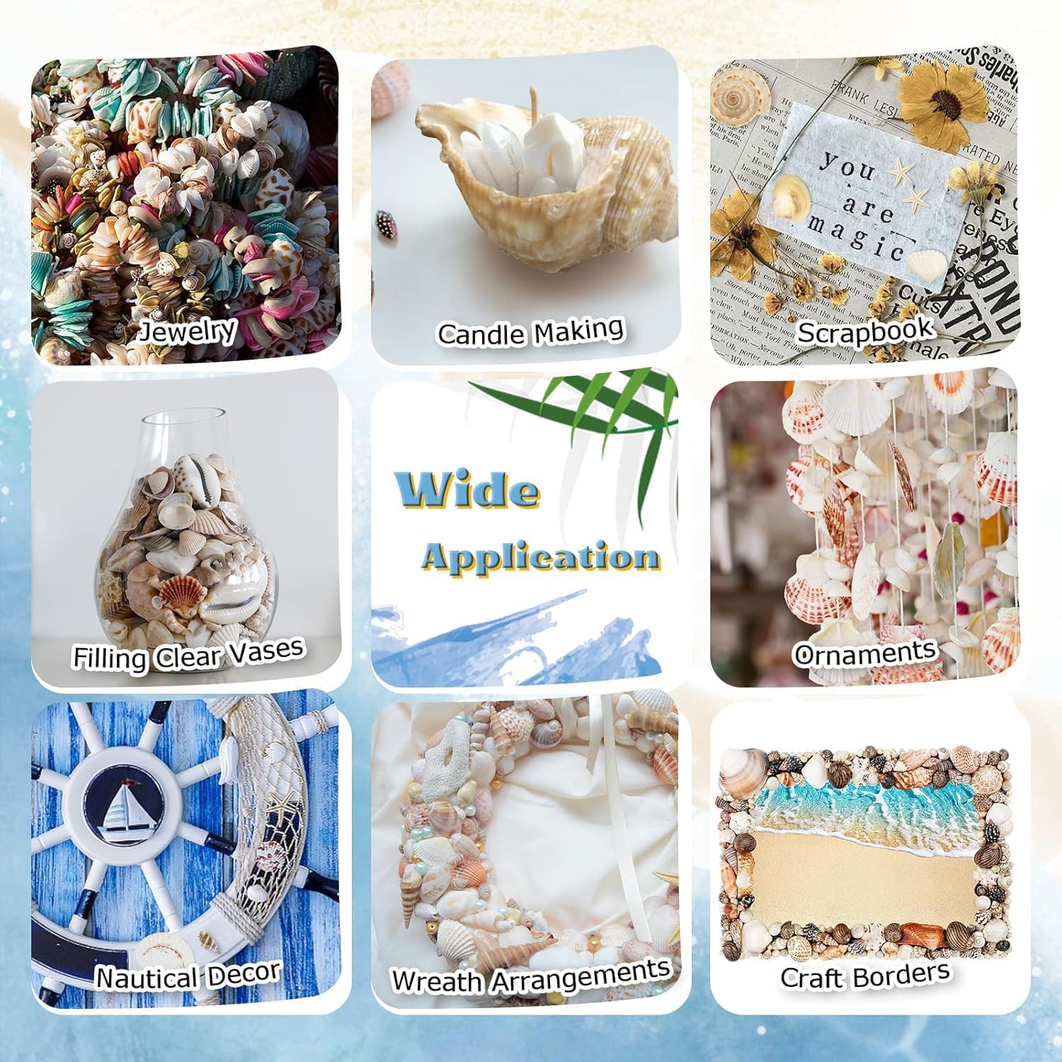 Large Conch Shells Mixed Ocean Sea Shells, Various Sizes Natural Turbo Seashells and Hermit Crab Shells for Beach Themed Party DIY Crafts Fishtank Vase Fillers Home Wedding Decorations (10)