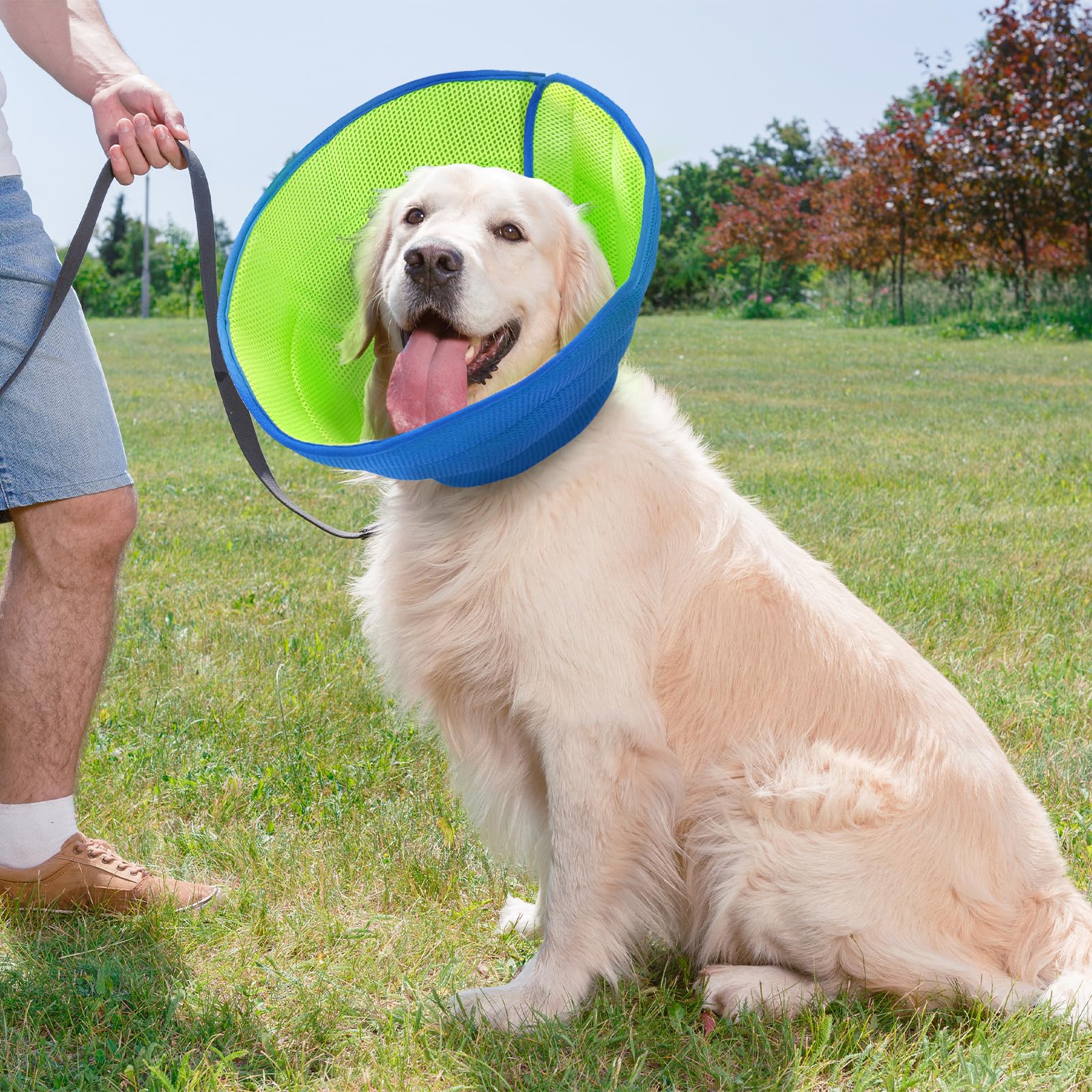 Collarín para perro suave, talla L, cuello isabelino para perros, ajustable y transpirable, protección contra fugas para perros grandes