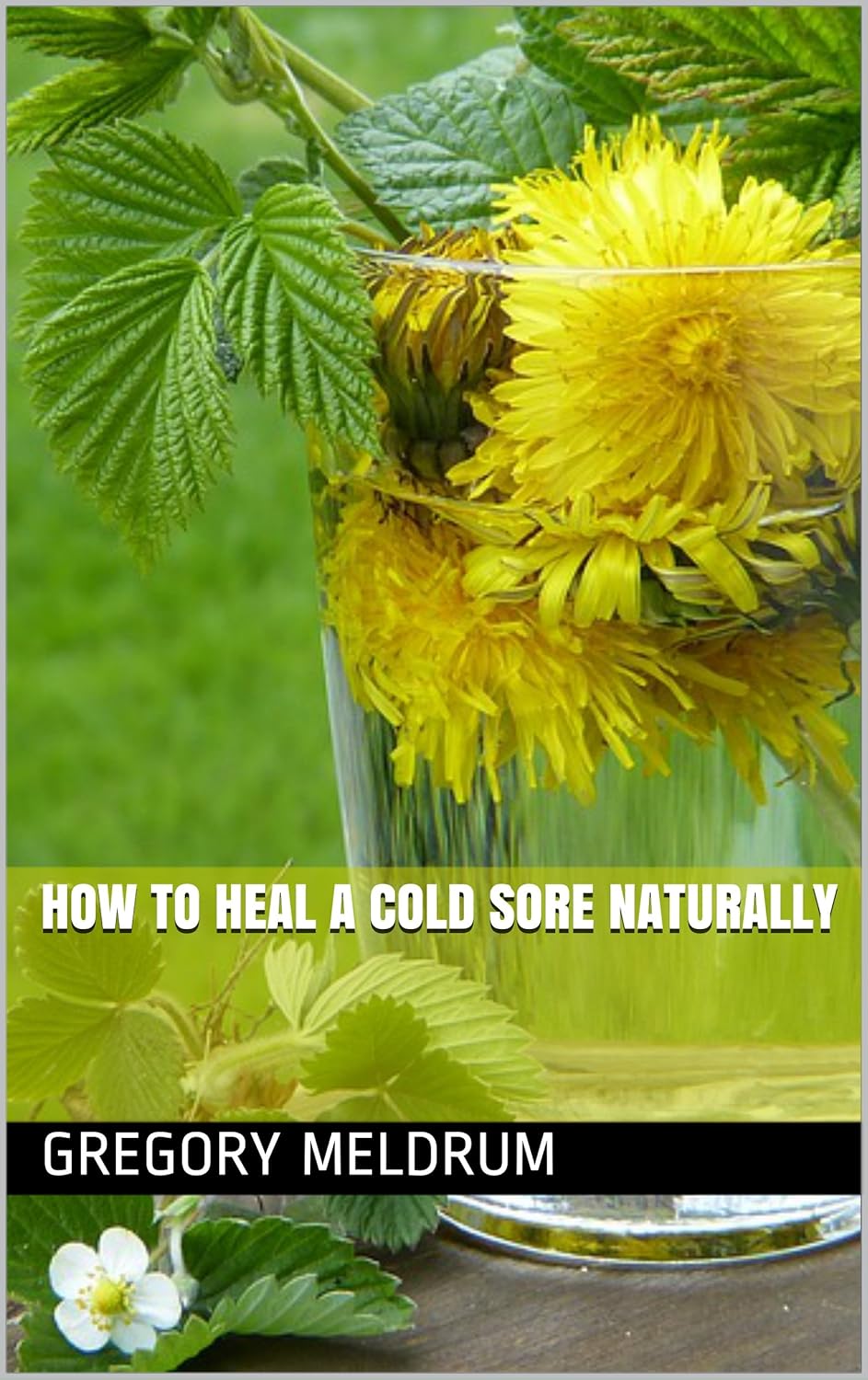 How To Heal A Cold Sore Naturally Kindle Edition By Meldrum Gregory how-to-heal-a-cold-sore-naturally-kindle-edition-by-meldrum-gregory