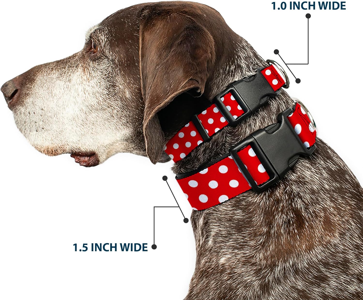 Buckle-Down Plastic Clip Collar - Minnie Mouse Polka Dots Red/White - 1.5" Wide - Fits 18-32" Neck - Large
