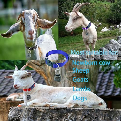 Miniatura 7 de Paquete de 4 collares de cabra con campana, campanas de cobre para pastoreo de mascotas, vaca, caballo, oveja, accesorios de campana de bronce