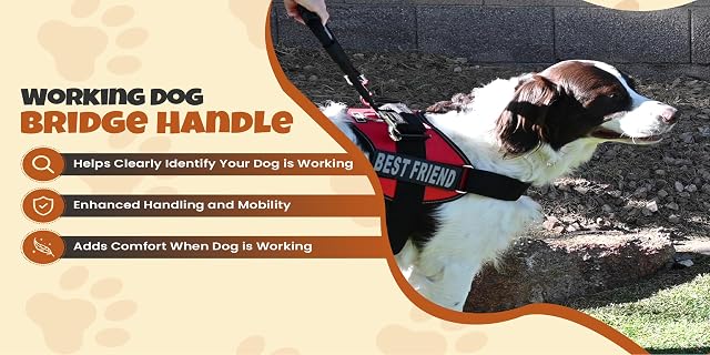 Foto 7 de 7 de Doggie Stylz Service Dog - Arnés para Perro con asa de Puente - Accesorios duraderos para Perros
