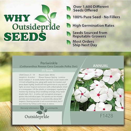 Miniatura 4 de Outsidepride Vinca Periwinkle Cascade Polka Dot Garden Flower, cubierta del suelo y plantas en contenedores - 50 semillas