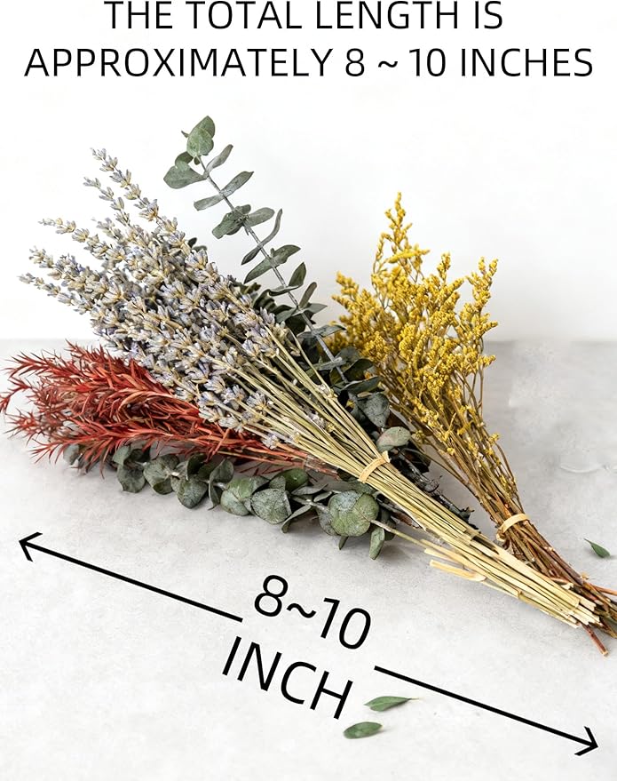 Set de 12 Flores Secas - Lavanda, Eucalipto, Trigo, Colas de Conejo miniatura 3