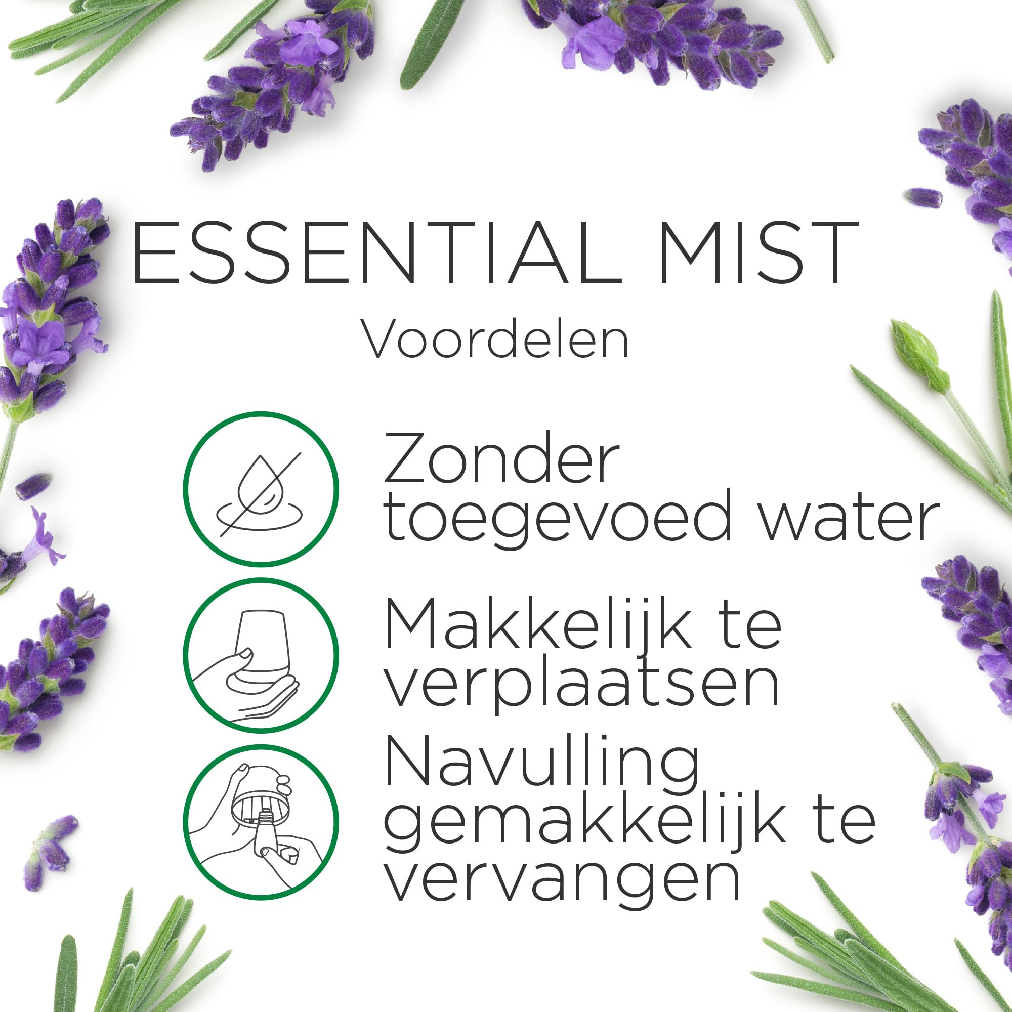 Air Wick Diffusore di aromi automatico Essential Mist - Ricarica - Riempimento - Riposo Internale - Nebbia profumata di oli essenziali - 6 x 20 ml