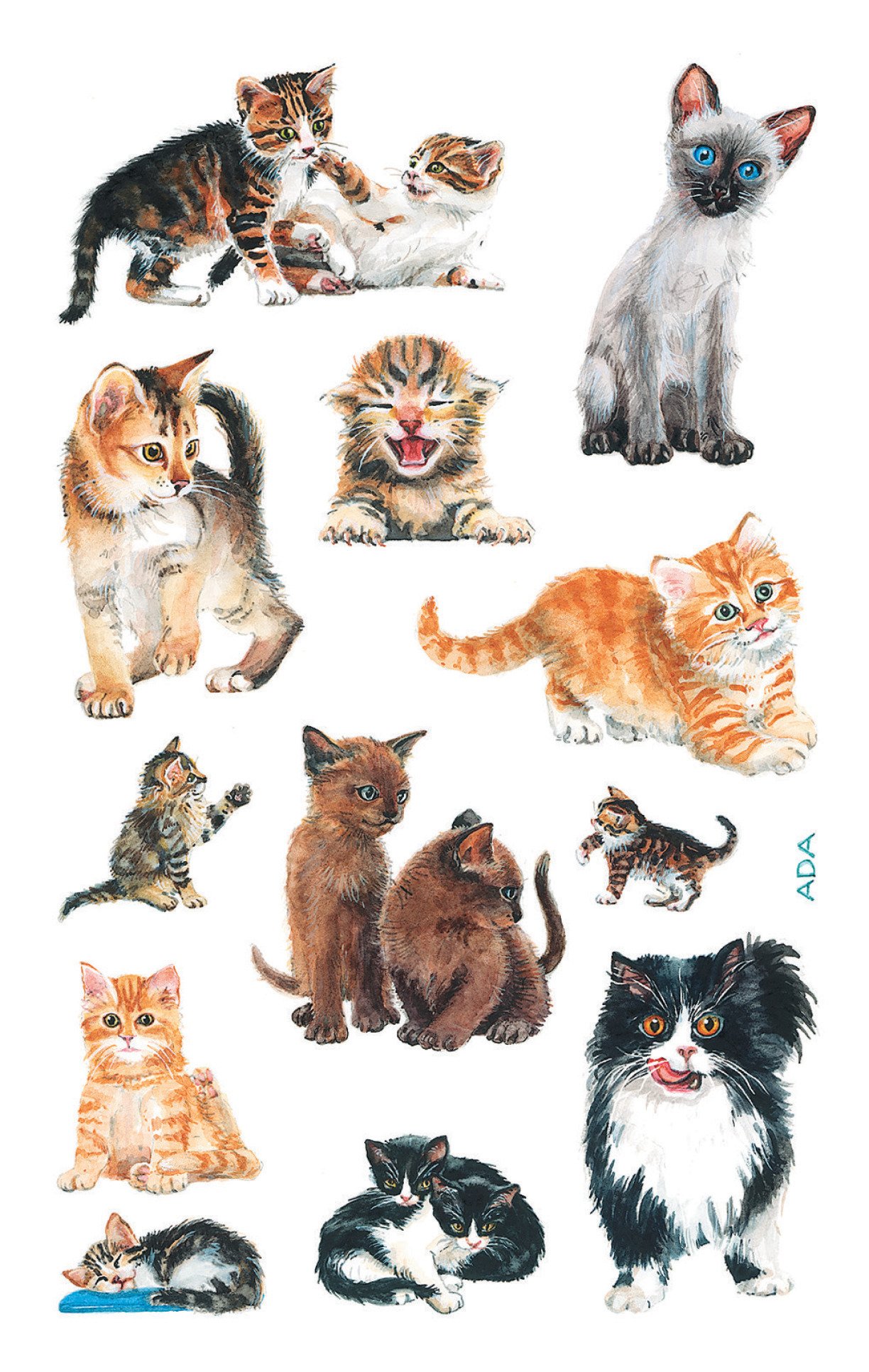 Avery 53574 pegatinas para los niños, gatito, material de papel, 3 hojas, 36 Etiqueta