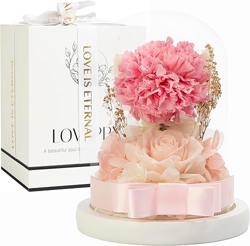 Flores: Rosa preservada y clavel en cúpula de cristal - Decoración romántica para el hogar y regalo - Ramo fresco, flores para siempre, regalo para