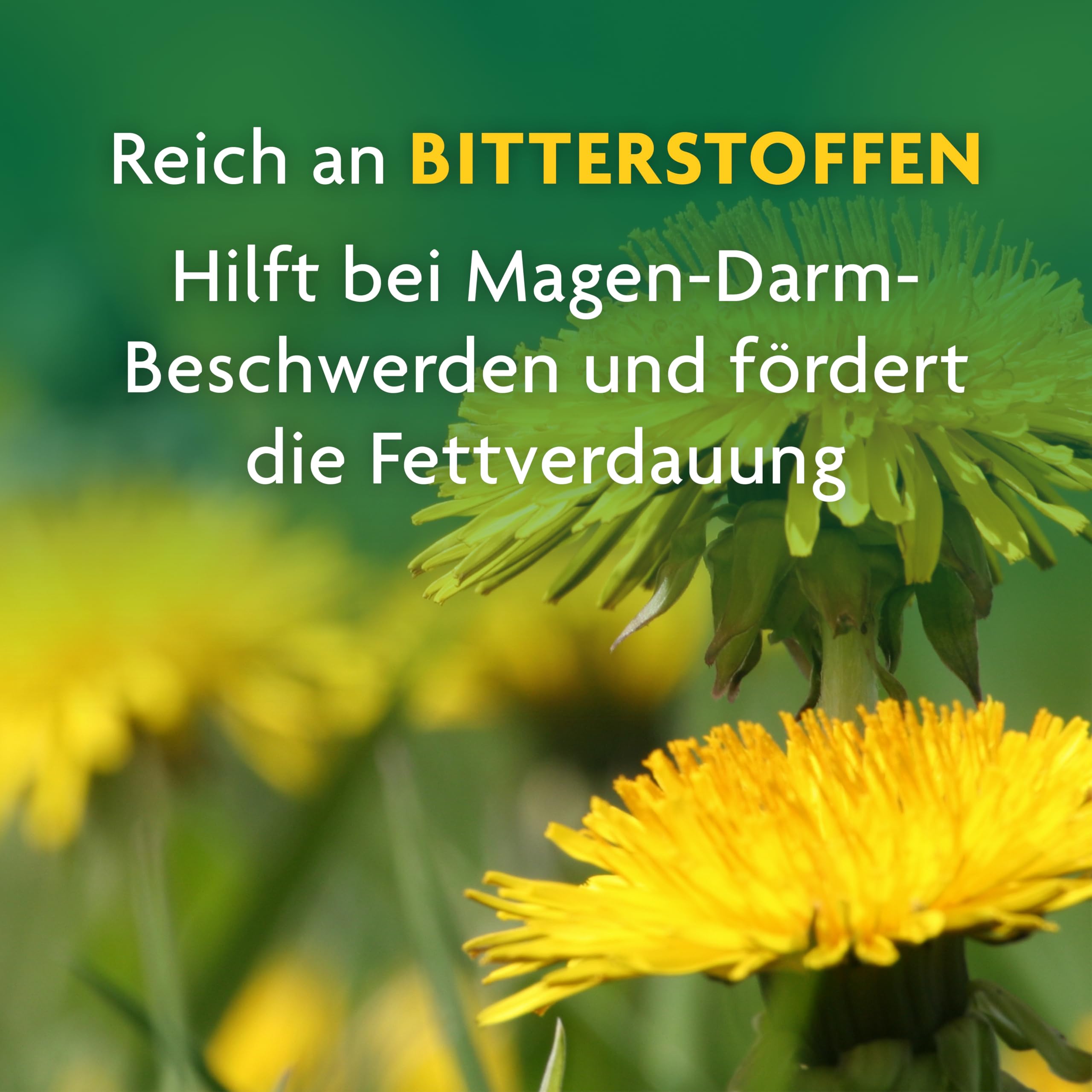 Schoenenberger - Löwenzahn naturreiner Heilpflanzensaft - 3x 200 ml Glasflasche - die wirksame Hilfe bei Magen-Darm-Beschwerden und Harnwegsinfekten - traditionell pflanzliches Arzneimittel