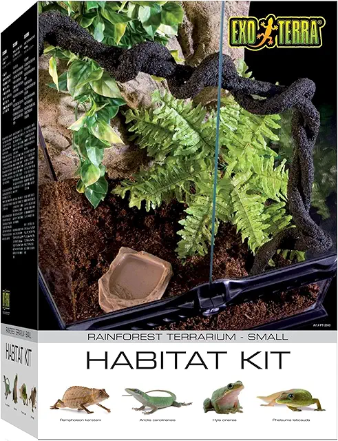 Rainforest Habitat Terrarium Kit with Plants, Thermometer & Water Bowl - 30x30x45cm
