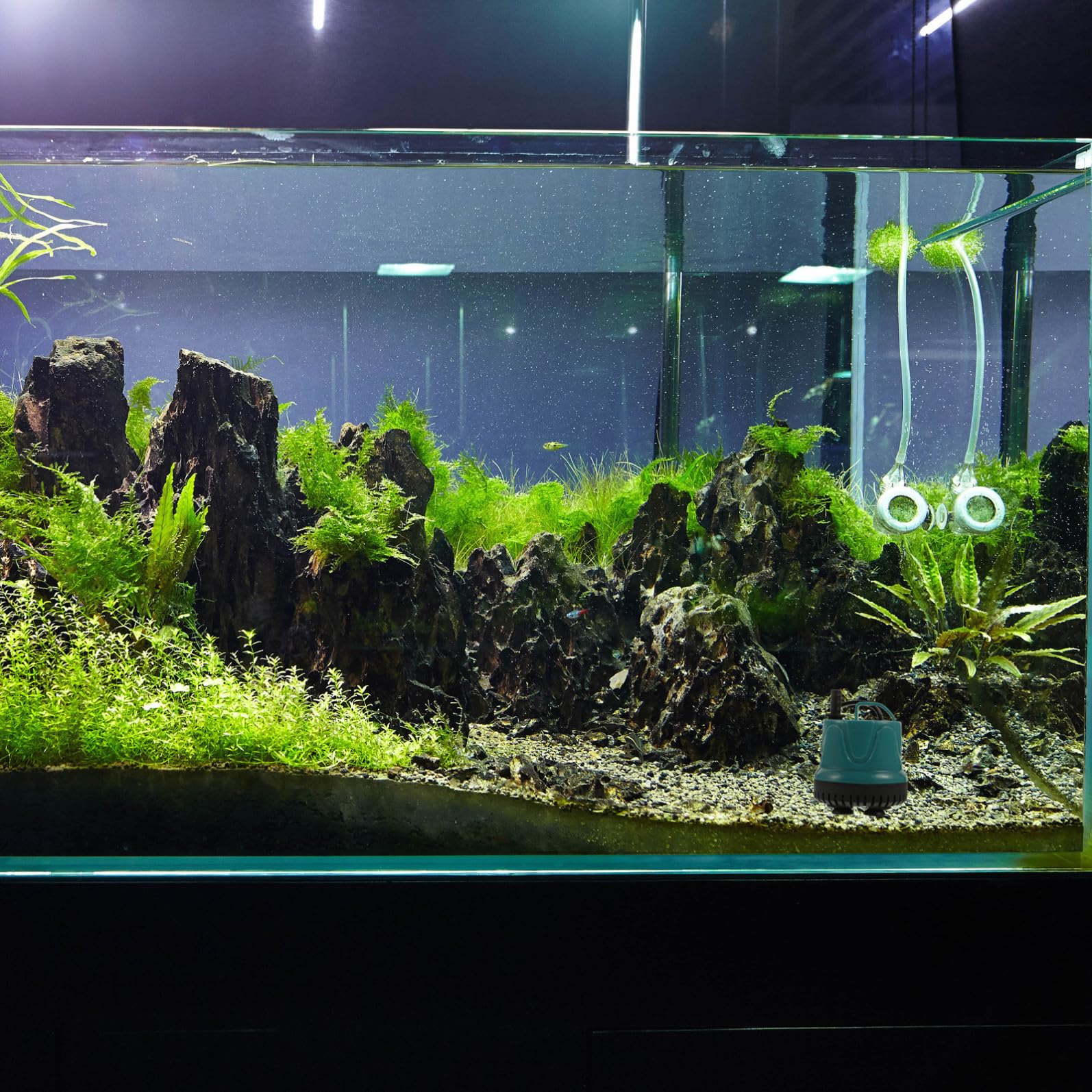 COLLBATH 1stk Tauchpumpe Für Fischbecken Aquariumzubehör Aquarium Pumpe Aquarium Minipumpe Gartenpumpe Terrassenpumpe Brunnenpumpe Wasserpumpe Kotabsaugpumpe Leise Aquarienpumpe Plastik