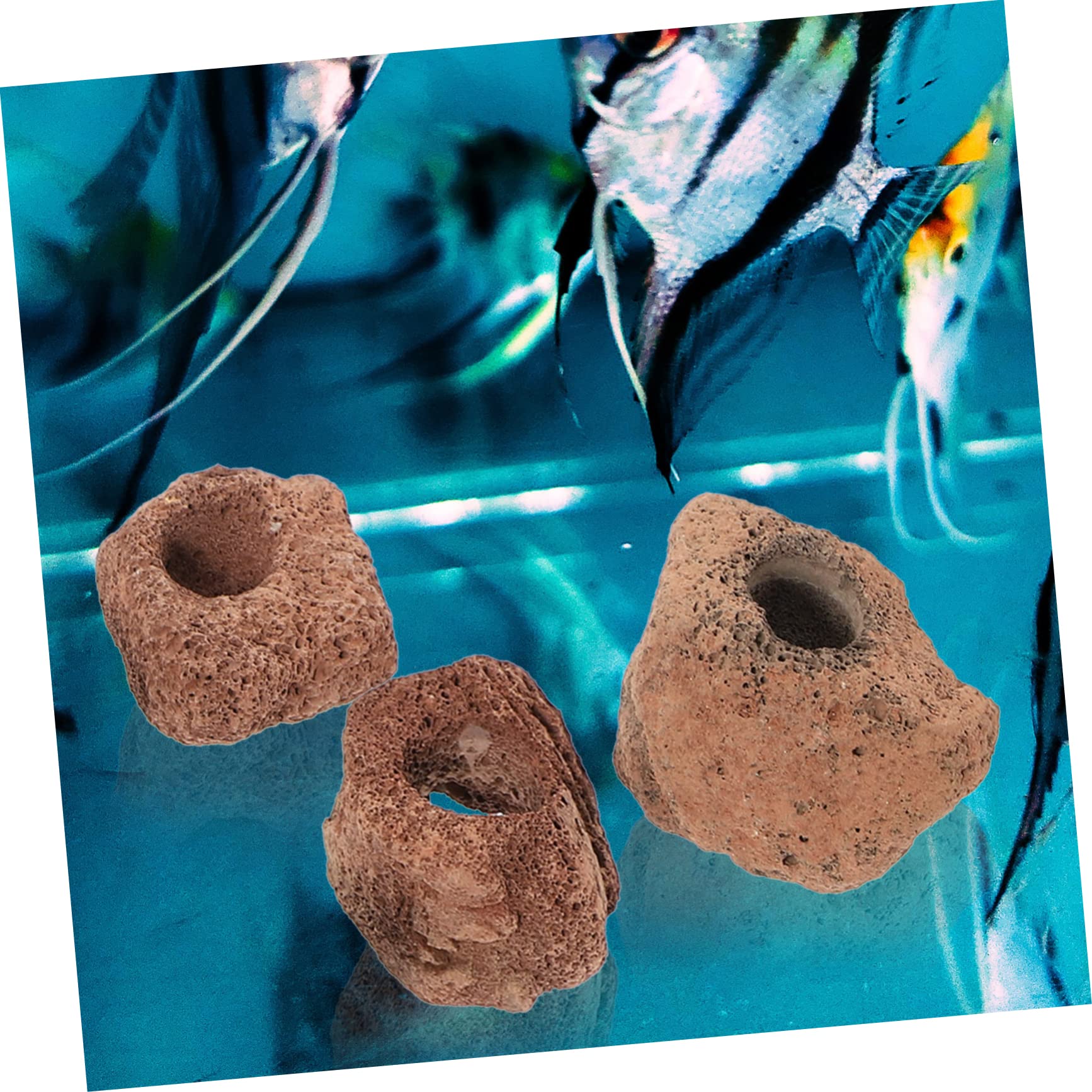 minkissy 10stücke Vulkanstein Aquarium Versteck Für Fische Naturstein Höhle Für Fischtanks Langlebig Einfach Zu Reinigen Mit Löchern Für Spiel Und Versteckmöglichkeiten Für