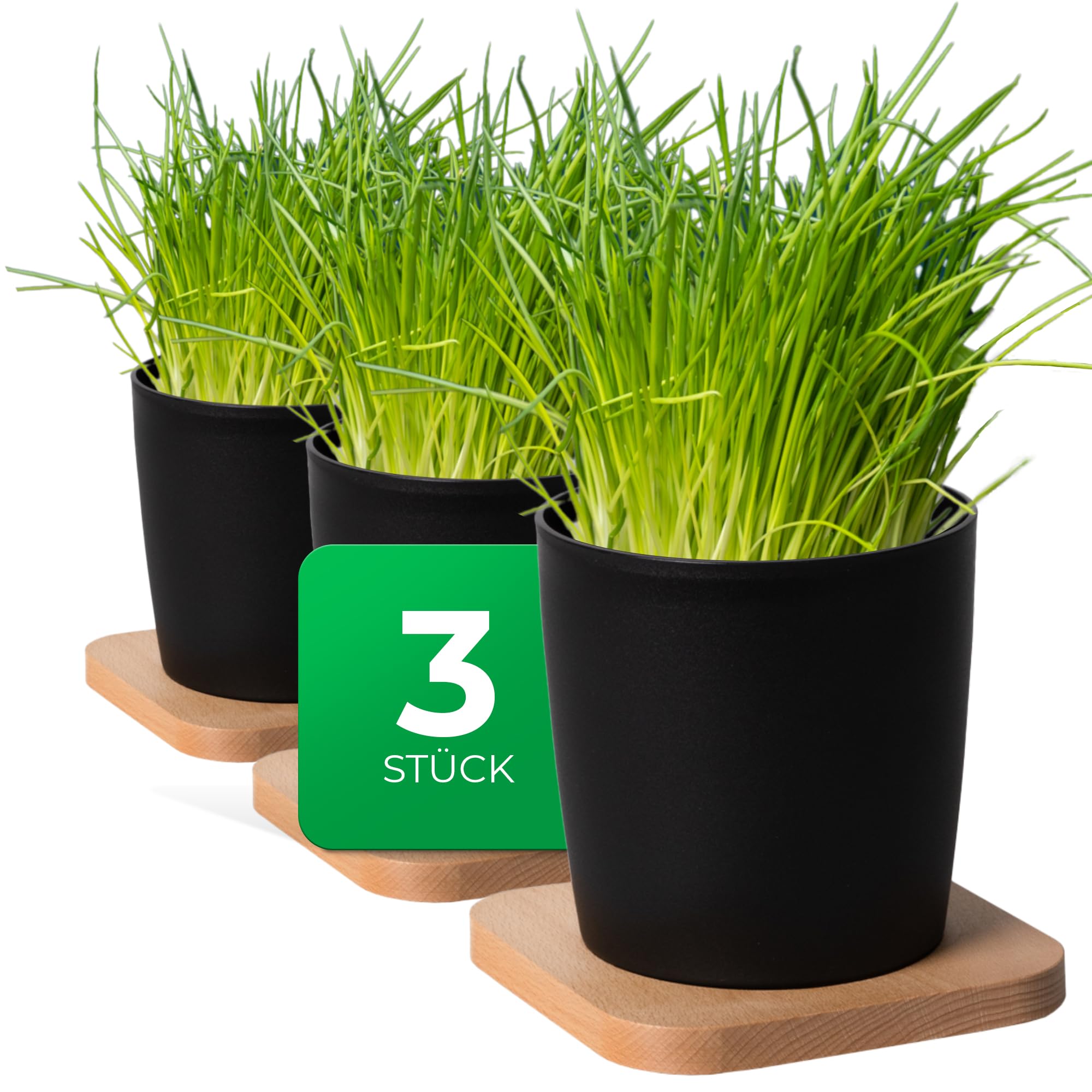 Novaliv Elegante set di 3 vasi per erbe aromatiche con base in legno per ogni davanzale, per erbe aromatiche fresche da cucina, per interni ed esterni, piante da appartamento, vaso per piante, vaso