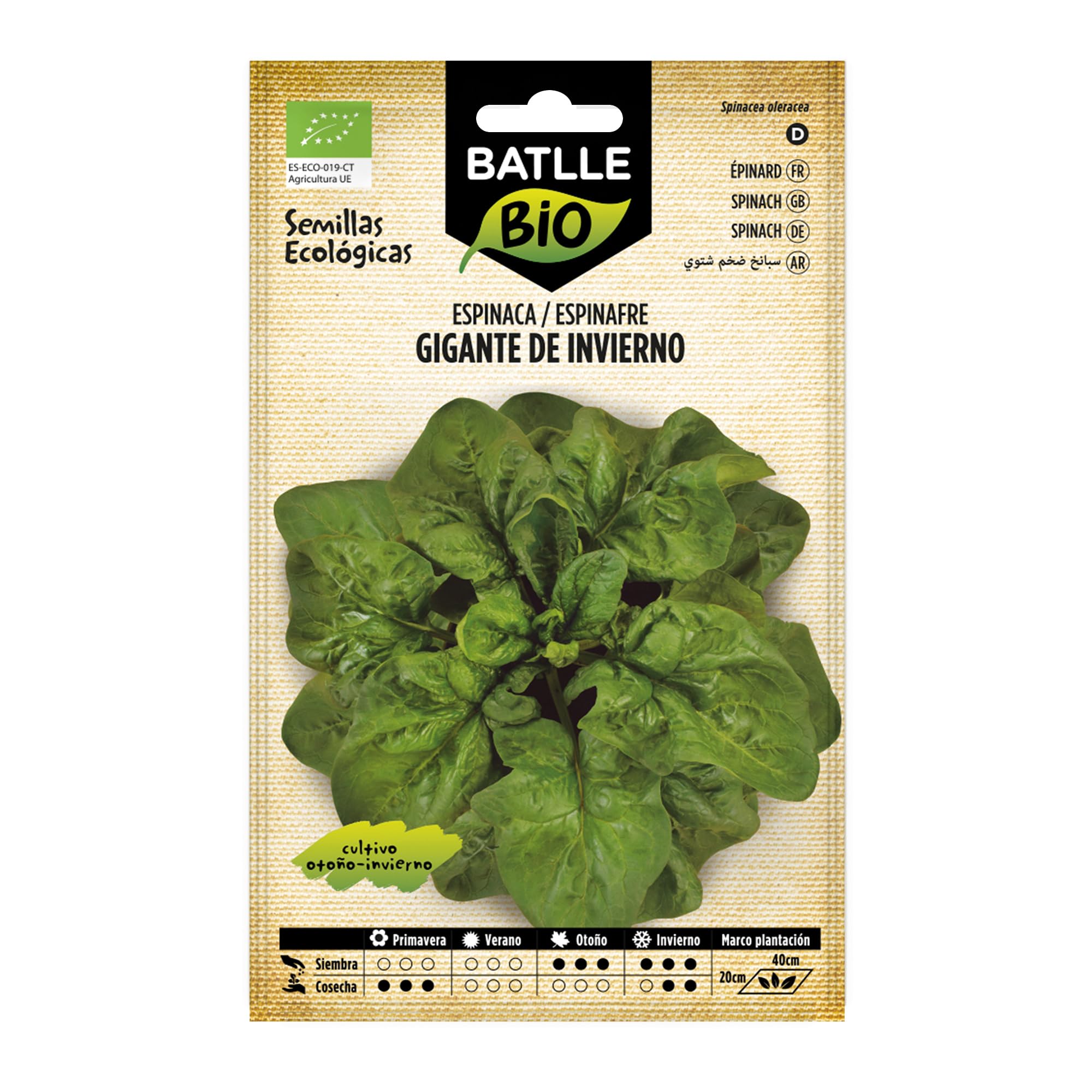 Semillas Batlle Espinaca Gigante de Invierno - ECO