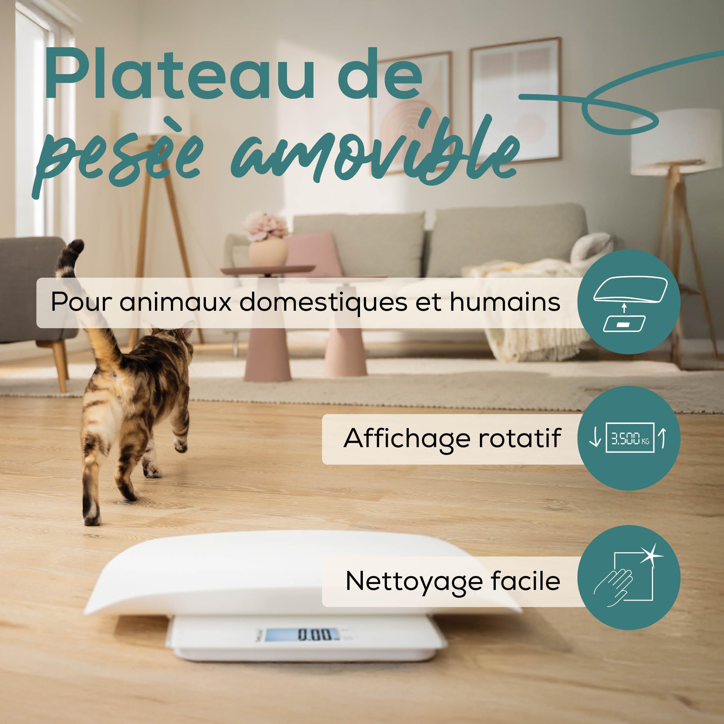 Beurer Love Your Pet Balance « Polly » pour animaux domestiques et humains, avec plateau de pesée amovible, pèse-chiot à partir de 100 g, pour petits animaux, fonction Hold, 180 kg