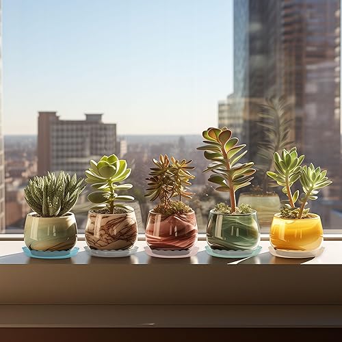 Miniatura 10 de ECOESPTI Platillo para plantas, paquete de 7 bandejas de plástico duradero de 5 pulgadas, platillos redondos blancos, bandeja de goteo para jardín