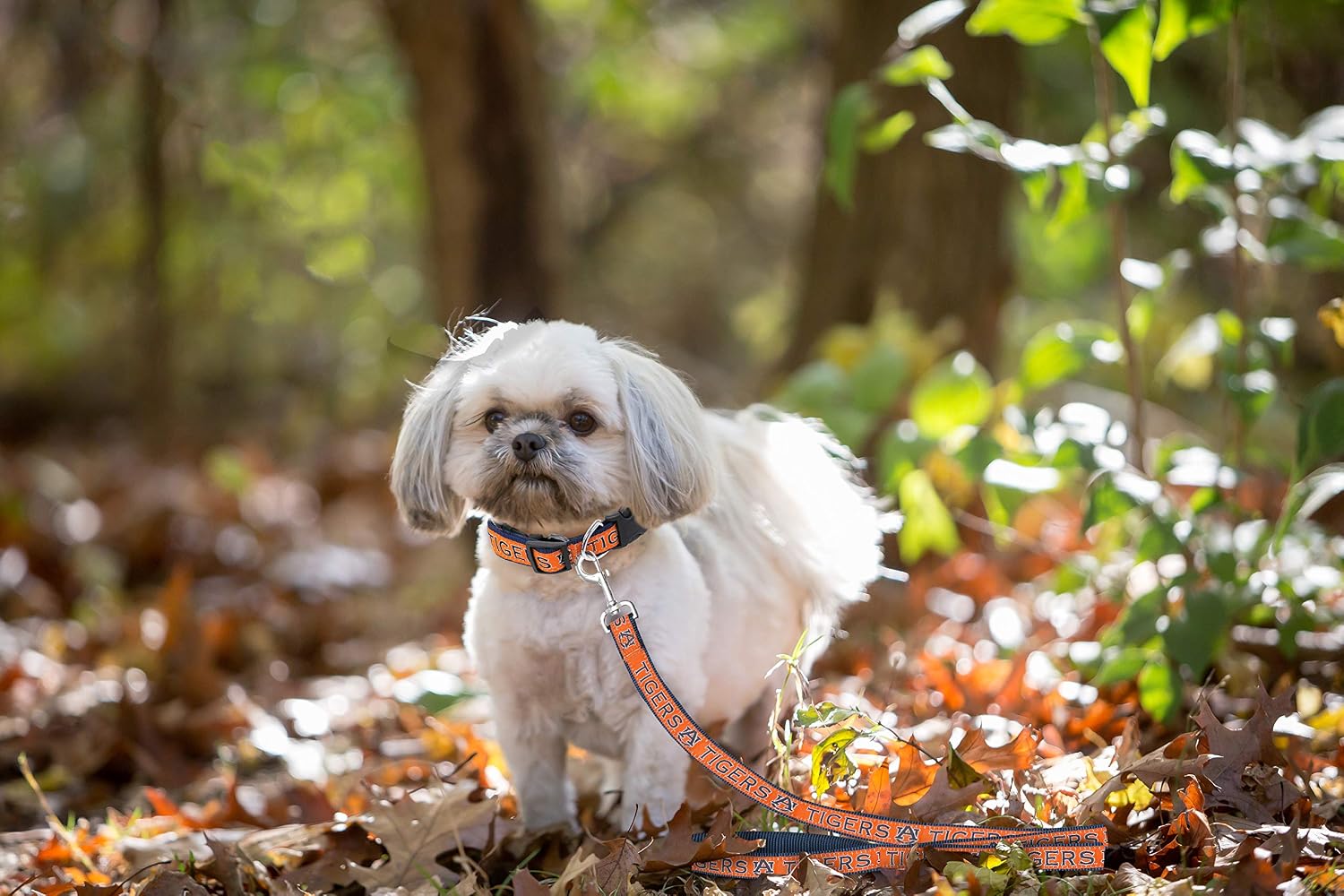 NCAA PET Leash, Large, Auburn Tigers, Dog Leash, Shiny & Colorful Leash for Dogs & Cats Licensed by The NCAA - Image 5