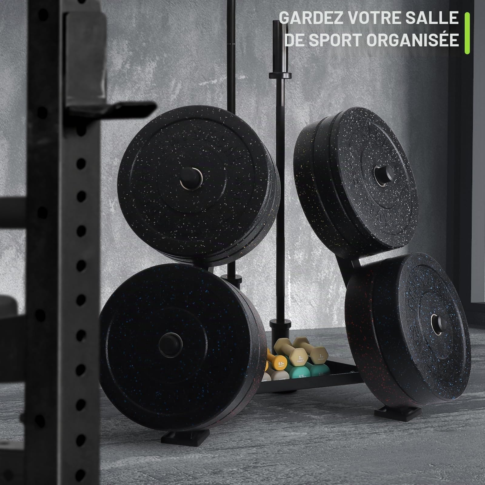 PhysKcal Support pour disques d'haltères en acier robuste | Compatible avec les disques de 25 mm et 50 mm. Support de rangement pour équipement de fitness à domicile