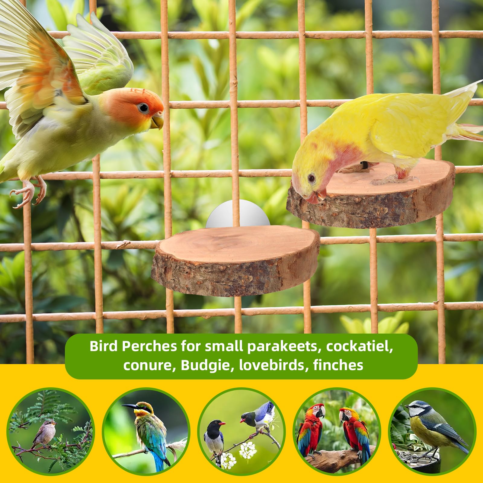 4PCS Natural Wood Round Bird Perch Platform for Cage - Parrot Perch Stand for Conures, Cockatiels, Budgies, Lovebirds, Parrotlets, Small Bird Cage Accessories - image 7