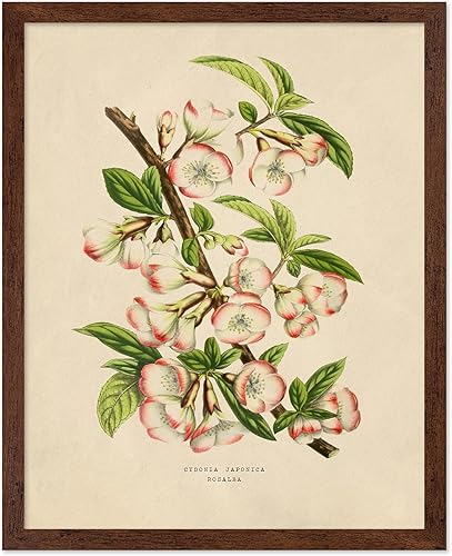 Miniatura 35 de Poster Master Póster de flores vintage, estampado botánico retro, arte floral antiguo, arte de plantas, regalo para hombres y mujeres, gran