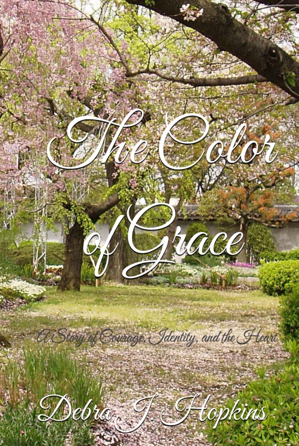 The Color of Grace: A Story of Courage, Identity, and the Heart (Where Love Finds Her series)