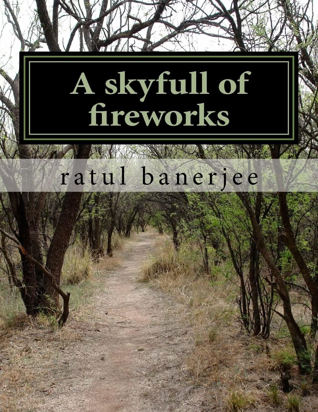 CREATESPACE A skyfull of fireworks