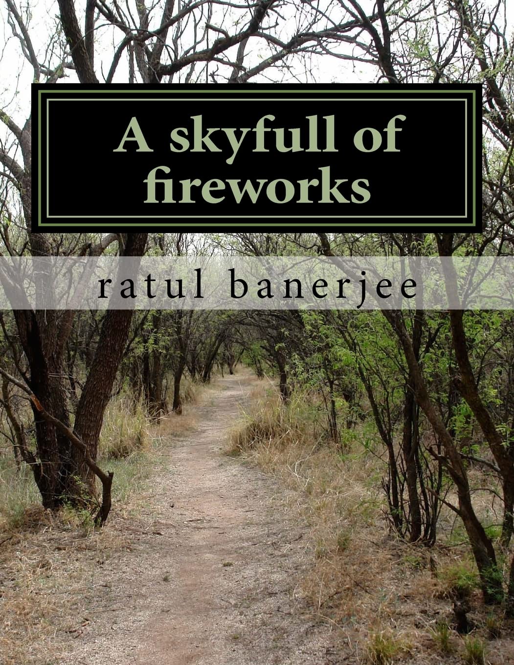 CREATESPACE A skyfull of fireworks