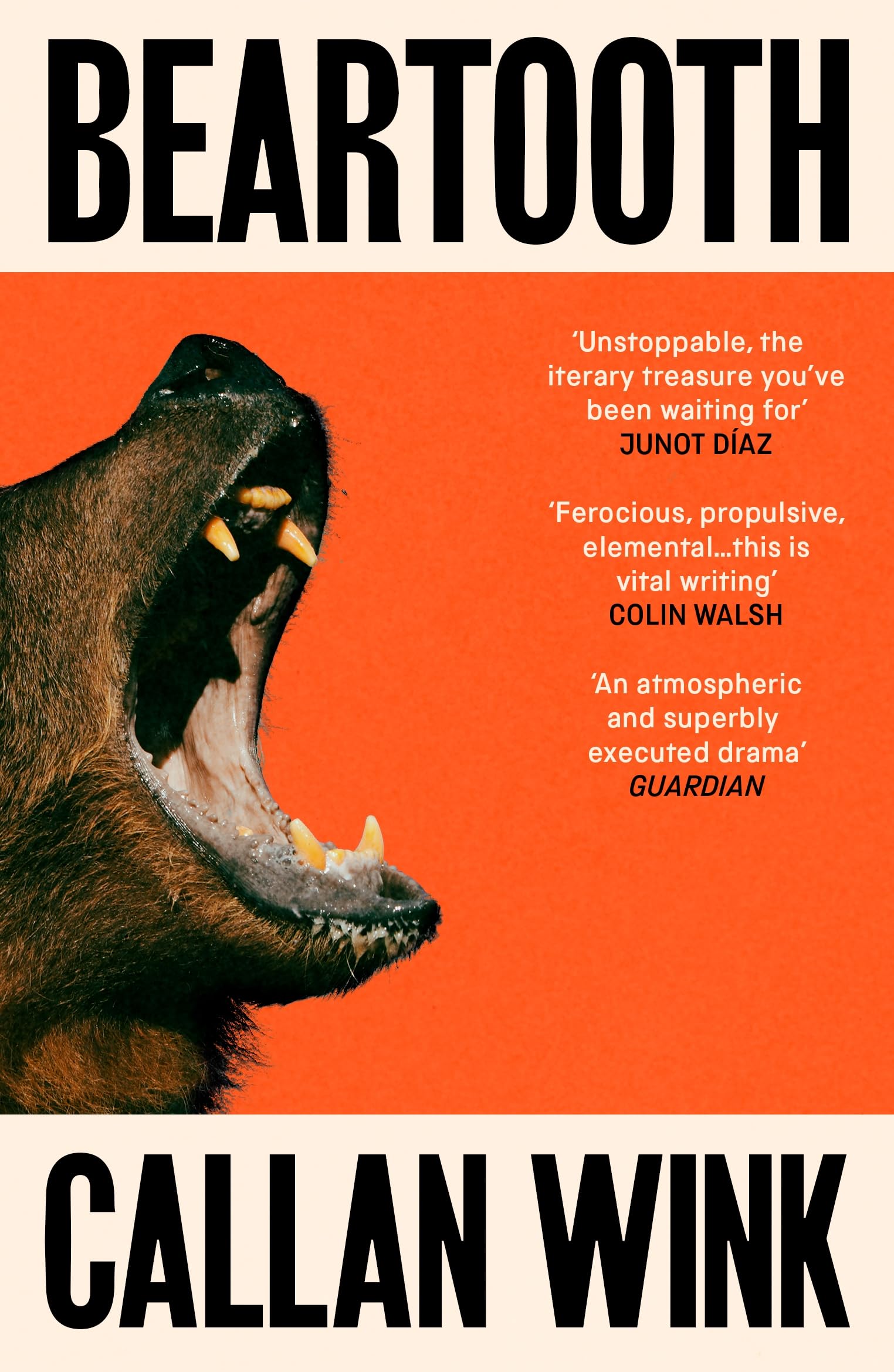 Beartooth by Callan Wink Paperback