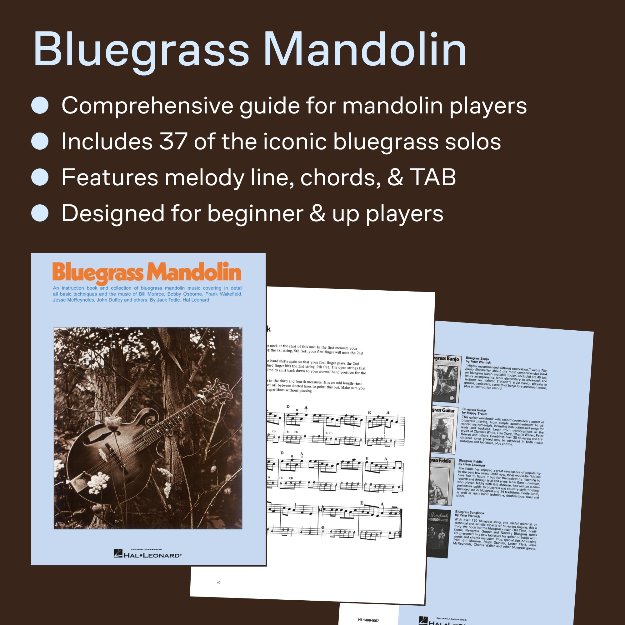 Bluegrass mandolin