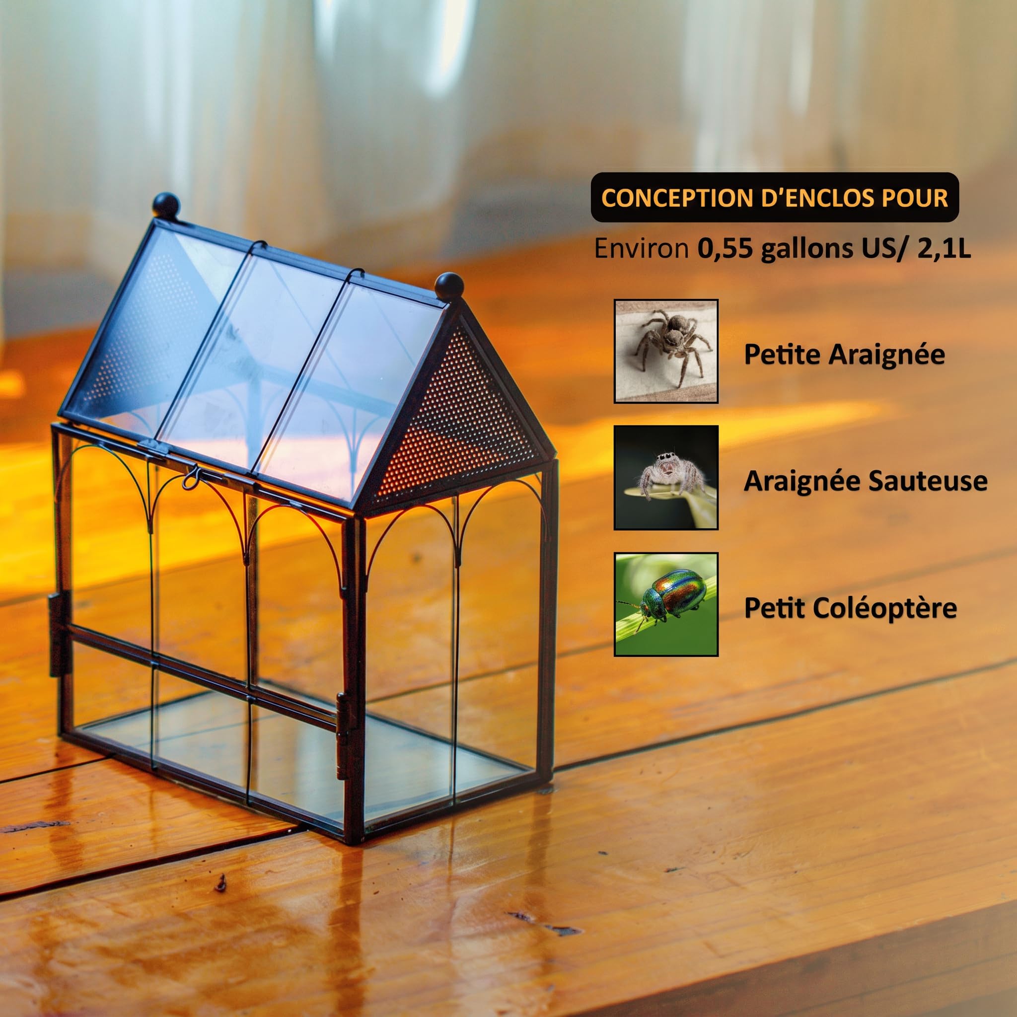 NCYP 14,7x9,6x17,8 cm Petit Enclos en Verre avec Maille pour Araignées, Insectes, Terrarium pour Plantes à Ouverture Frontale en Forme de Maison (Plantes et Accessoires Non Inclus)