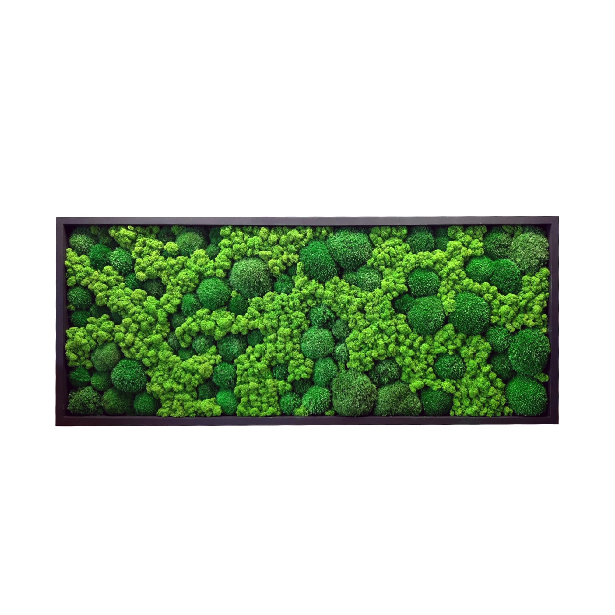 Cadre mural mousse stabilisée rectangulaire – décoration murale végétale naturelle intérieur – tableau végétal sans entretien pour salon bureau entrée – cadre métal (marron, 60 x 30 cm)
