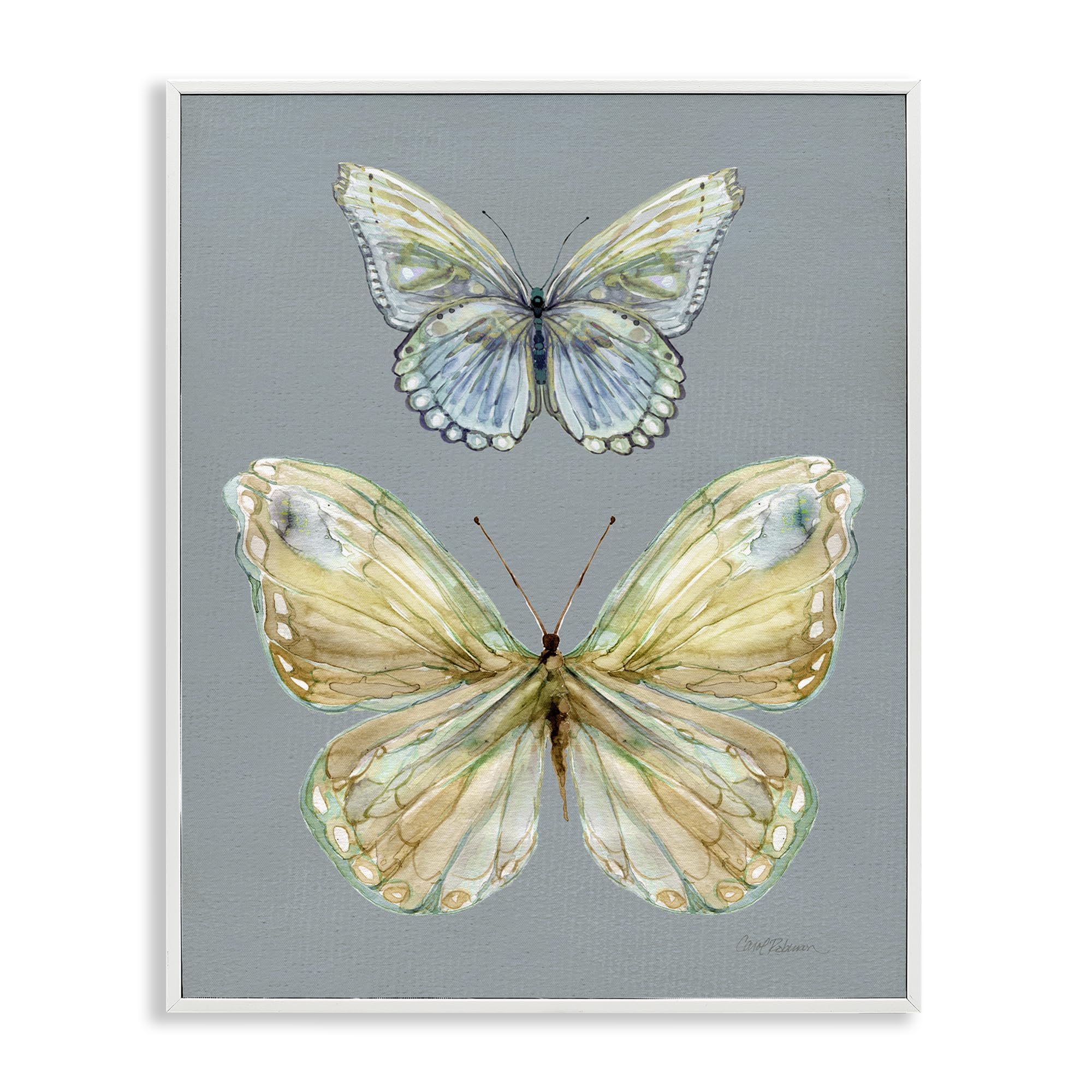 Stupell Industries Coastal White (Textured) 'Delicate Butterflies On Slate'| Framed Giclee Art