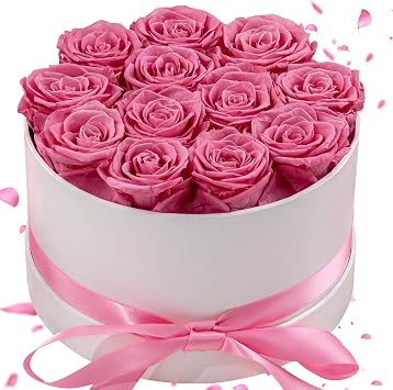 Preserved Roses in a Box, Blooming Real Roses Decor, Eternal Flowers for Delivery Prime, Best Gifts Birthday, Wedding, Anniversary, Mothers Day for Her, 12-Pieces Pink