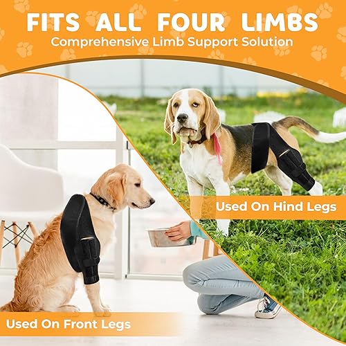 Miniatura 6 de Rodillera para perro para luxación de rótula, ligamento cruzado anterior o ligamento cruzado, osteoartritis, displasia de cadera o alivio del dolor