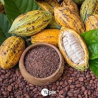 Vista 2 de Yupik Alkalized Cocoa Powder, 2.2 lb (35.2 oz), Vegan, Gluten-Free, GMO-Free, Kosher, Dairy-Free, No Sugar Added, Dutch Processed Cocoa, Smooth